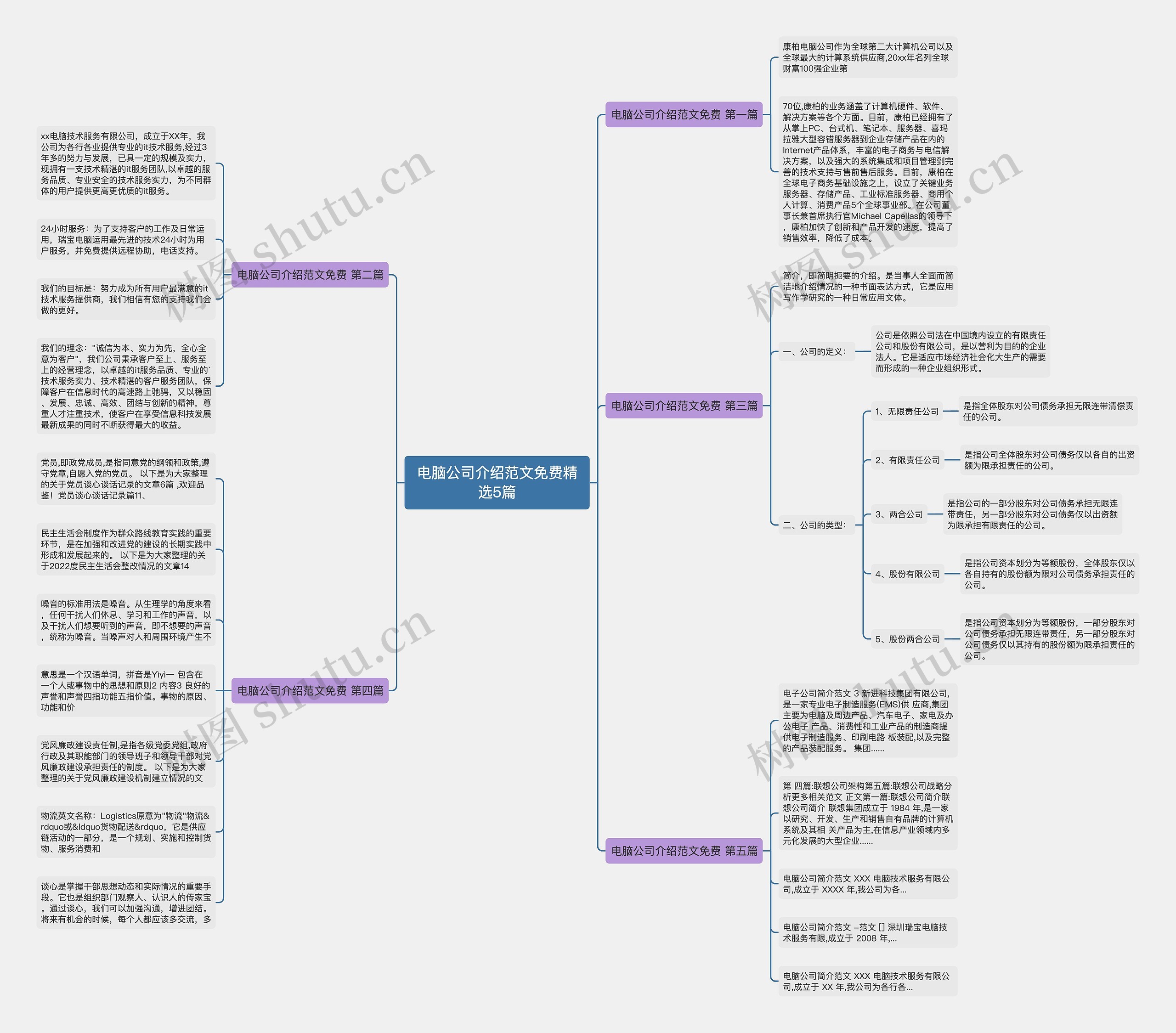 电脑公司介绍范文免费精选5篇思维导图
