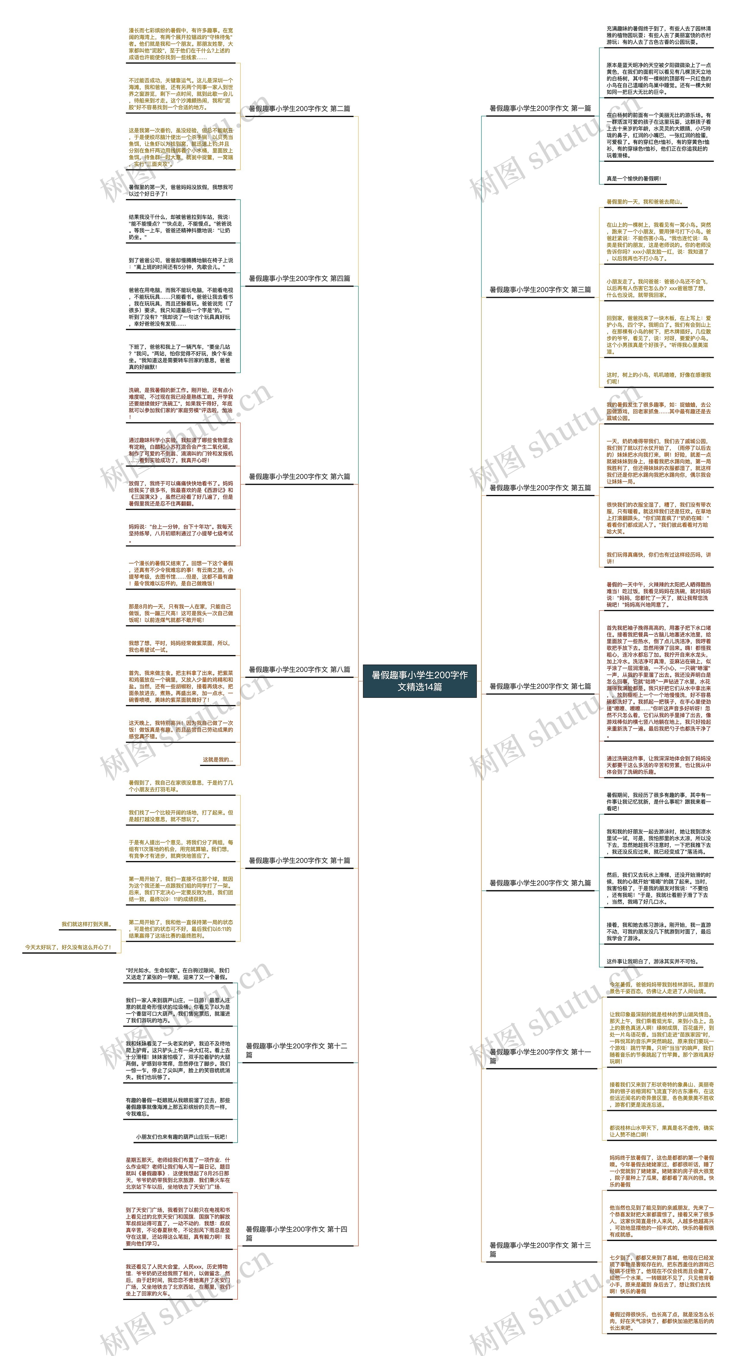 暑假趣事小学生200字作文精选14篇思维导图