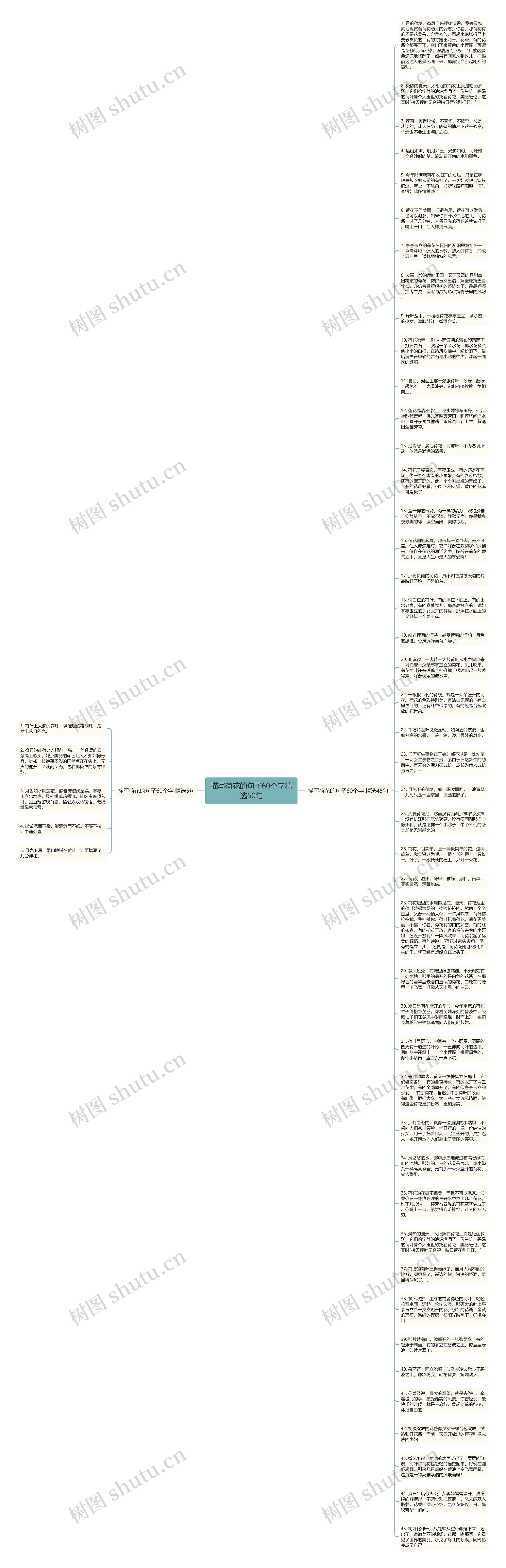 描写荷花的句子60个字精选50句思维导图