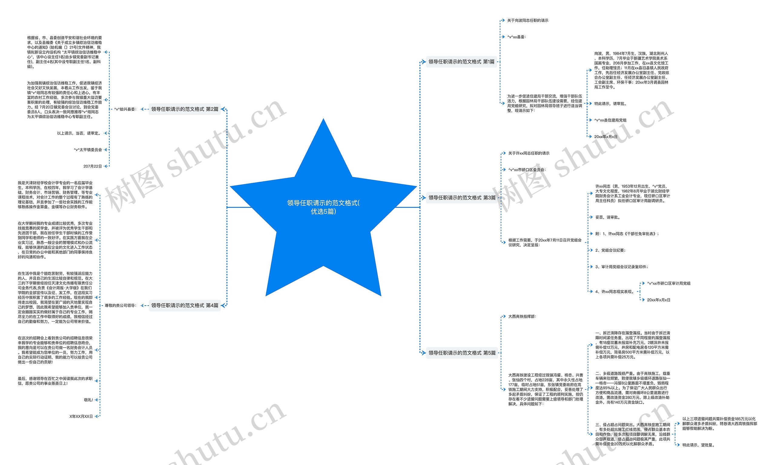 领导任职请示的范文格式(优选5篇)思维导图