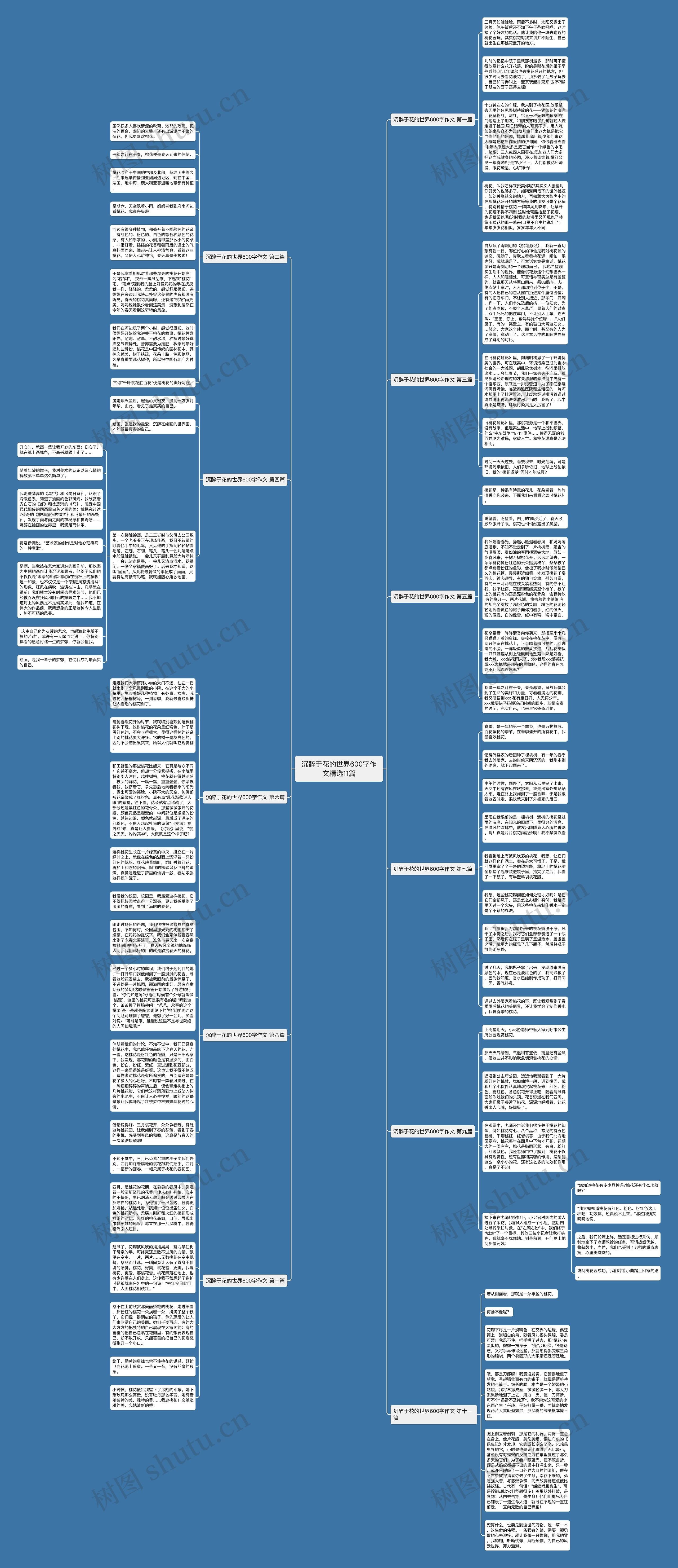 沉醉于花的世界600字作文精选11篇思维导图