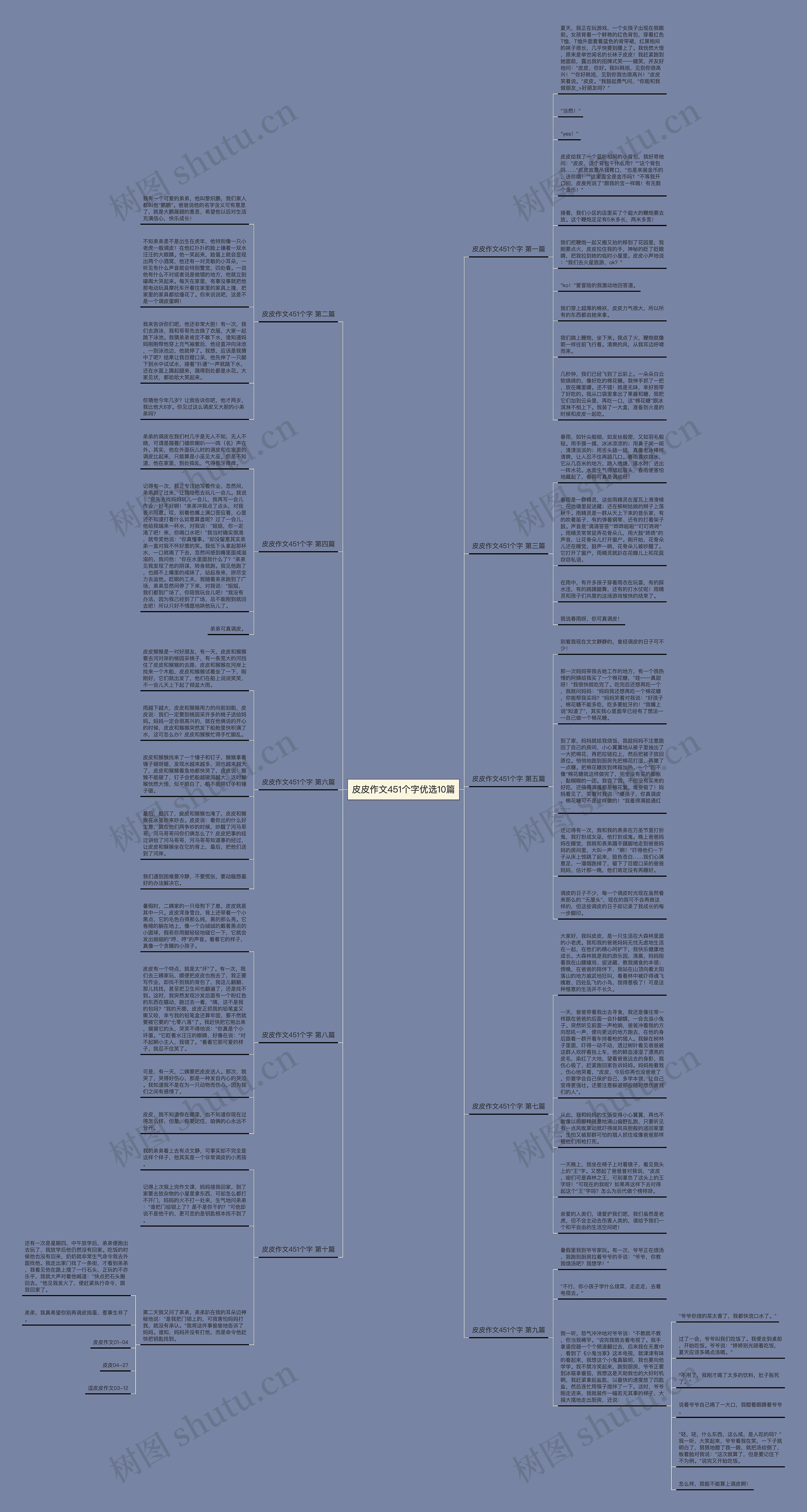 皮皮作文451个字优选10篇思维导图