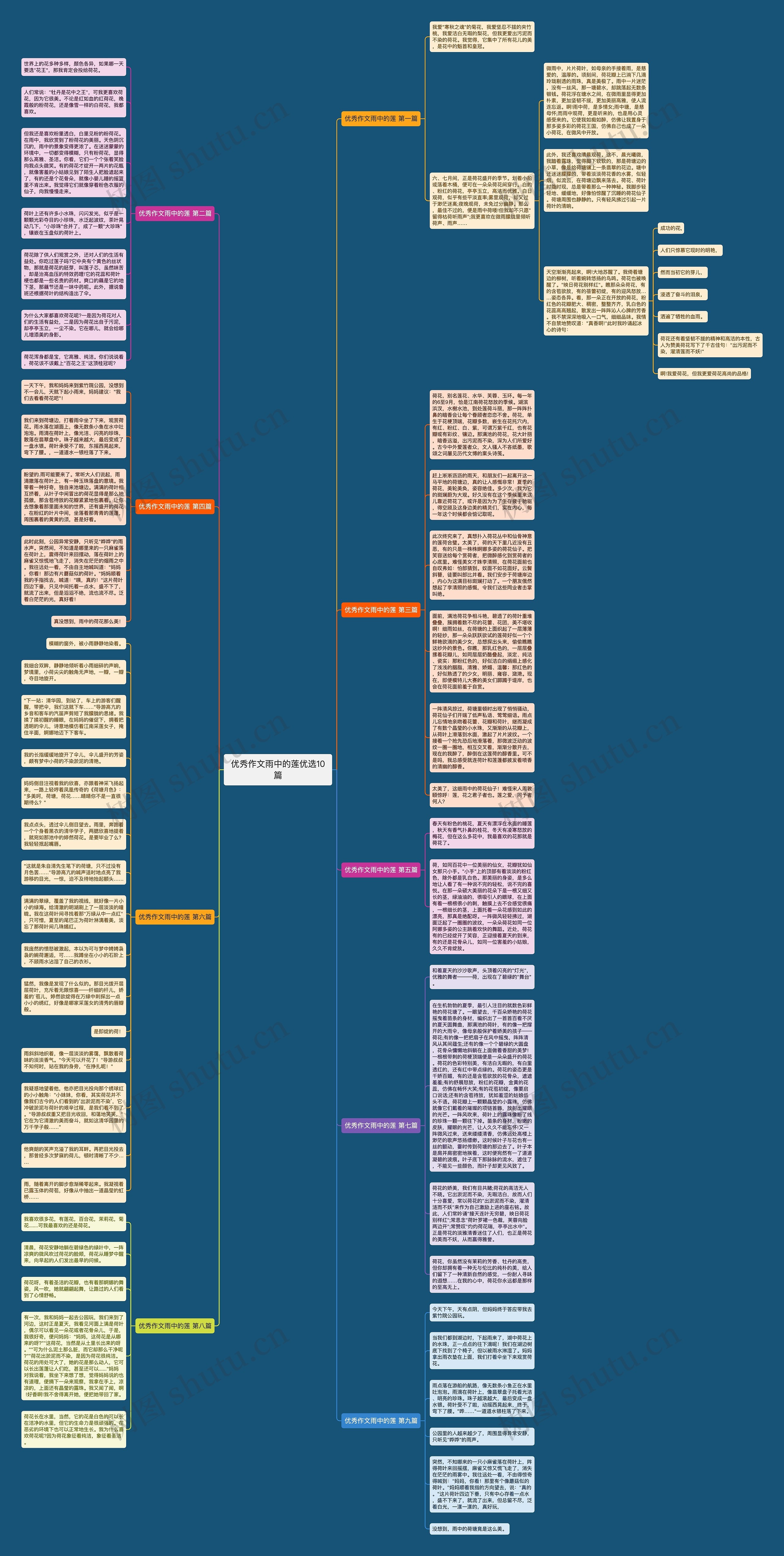 优秀作文雨中的莲优选10篇思维导图