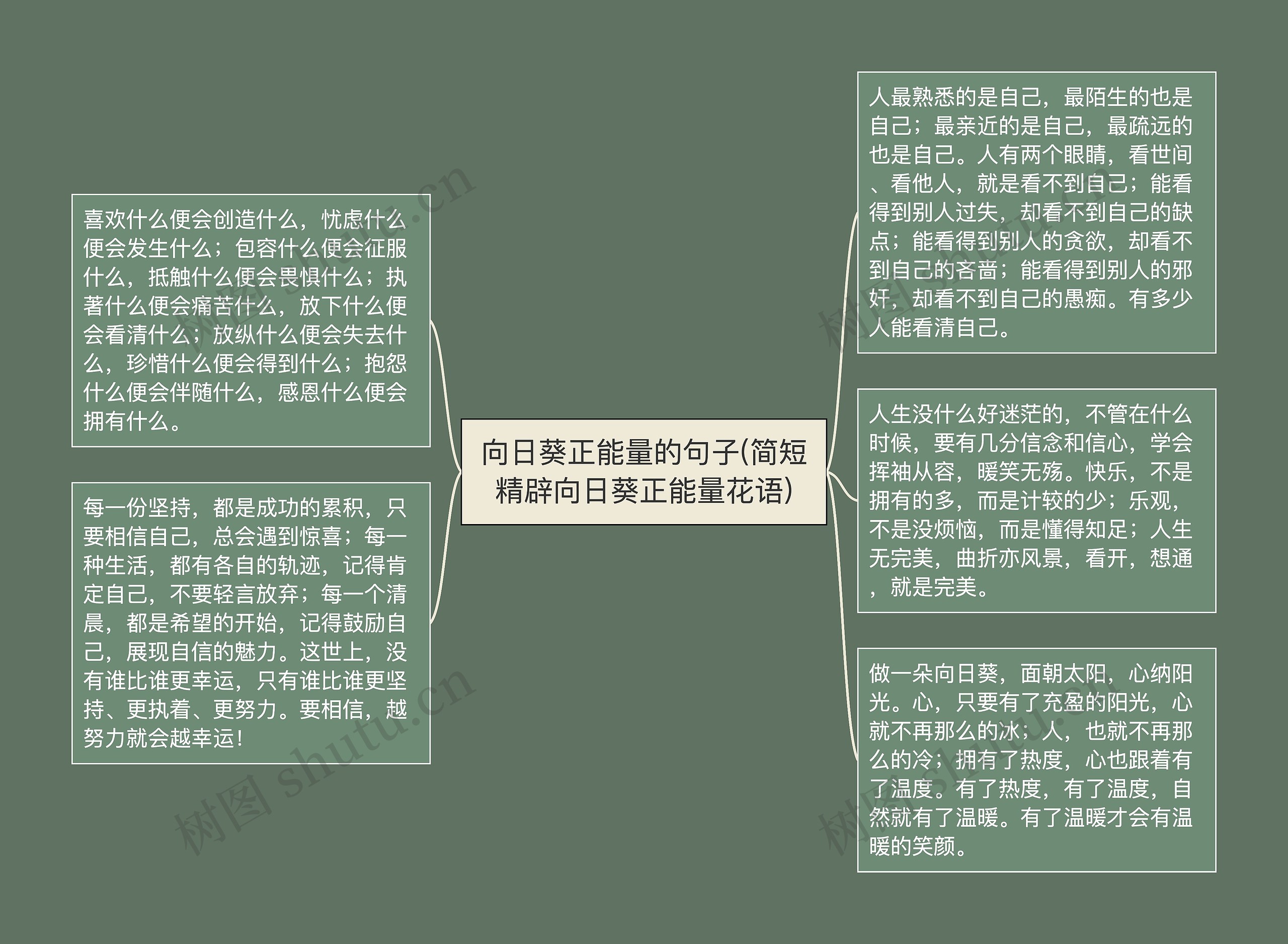 向日葵正能量的句子(简短精辟向日葵正能量花语)