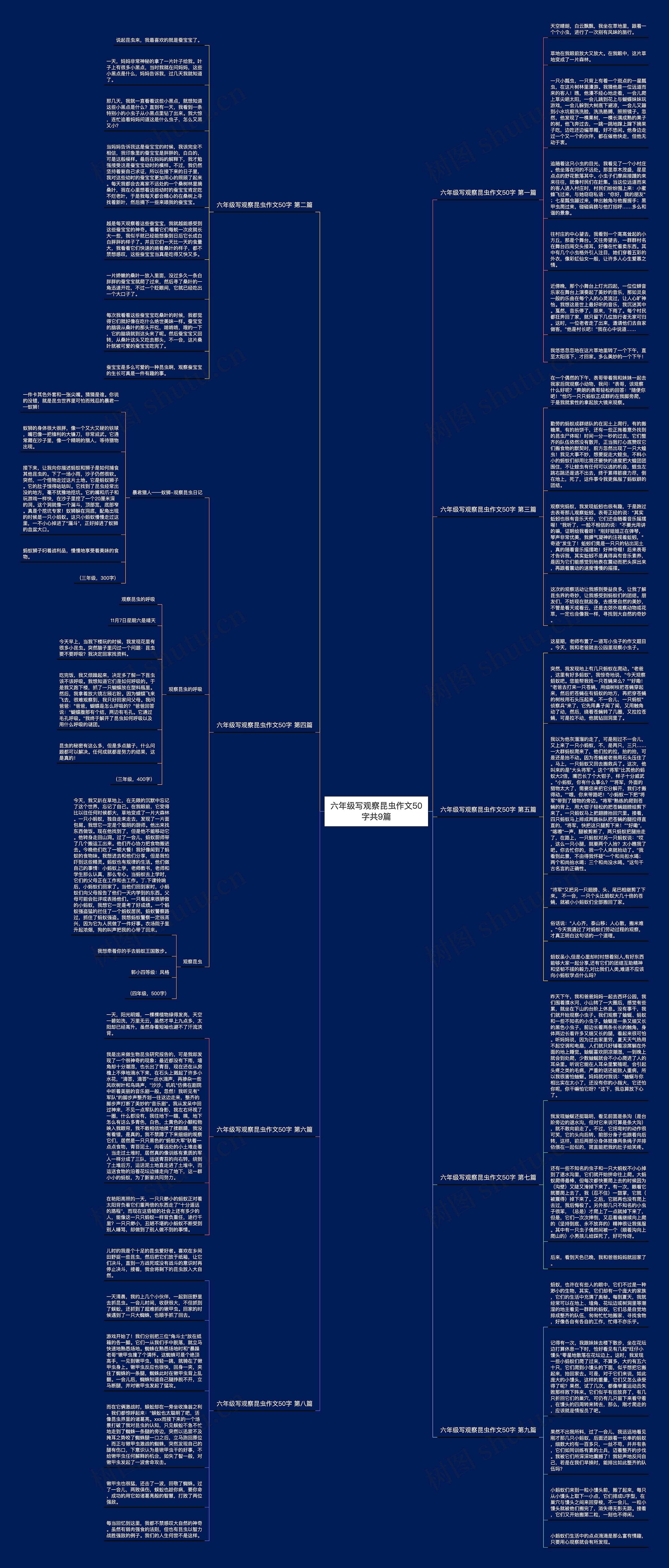 六年级写观察昆虫作文50字共9篇思维导图