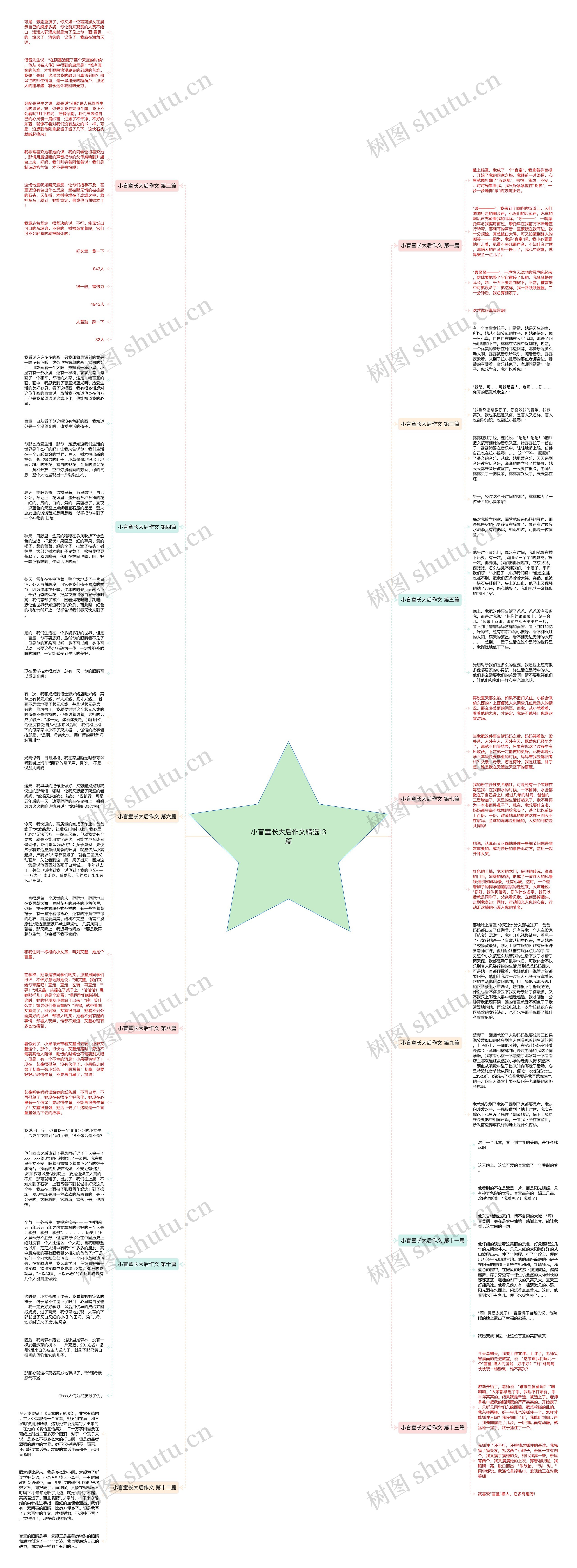 小盲童长大后作文精选13篇思维导图高清图 小盲童长大后作文精选13篇思维导图
