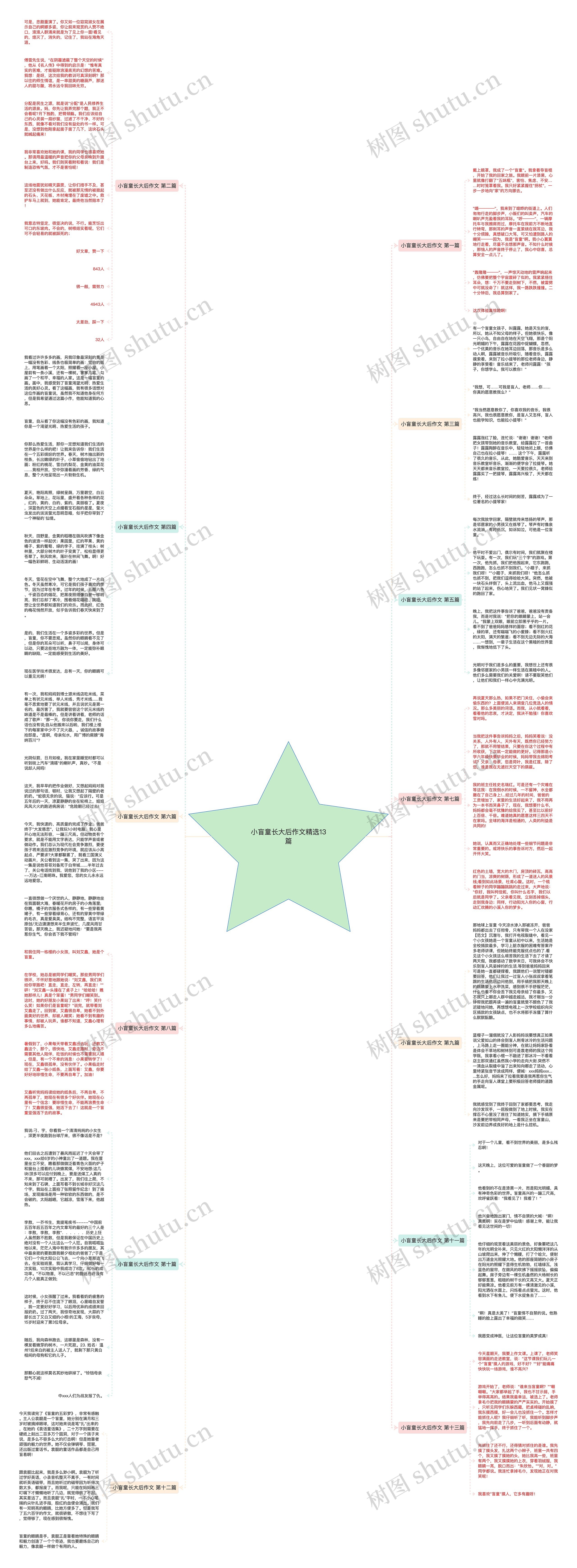 小盲童长大后作文精选13篇思维导图