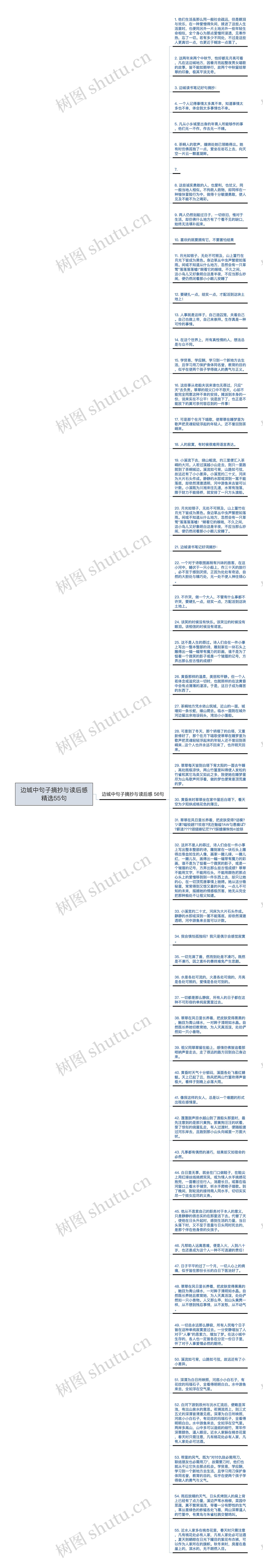 边城中句子摘抄与读后感精选55句