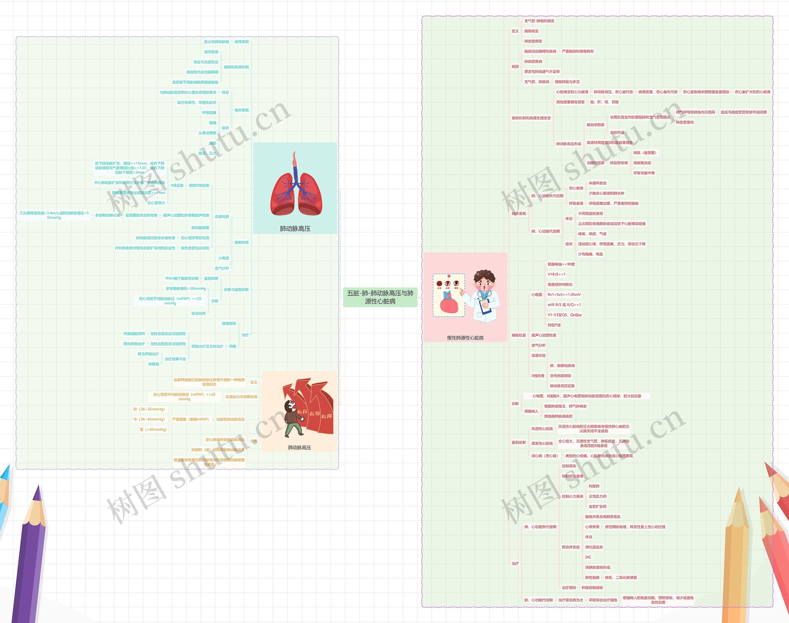五脏-肺-肺动脉高压与肺源性心脏病思维导图