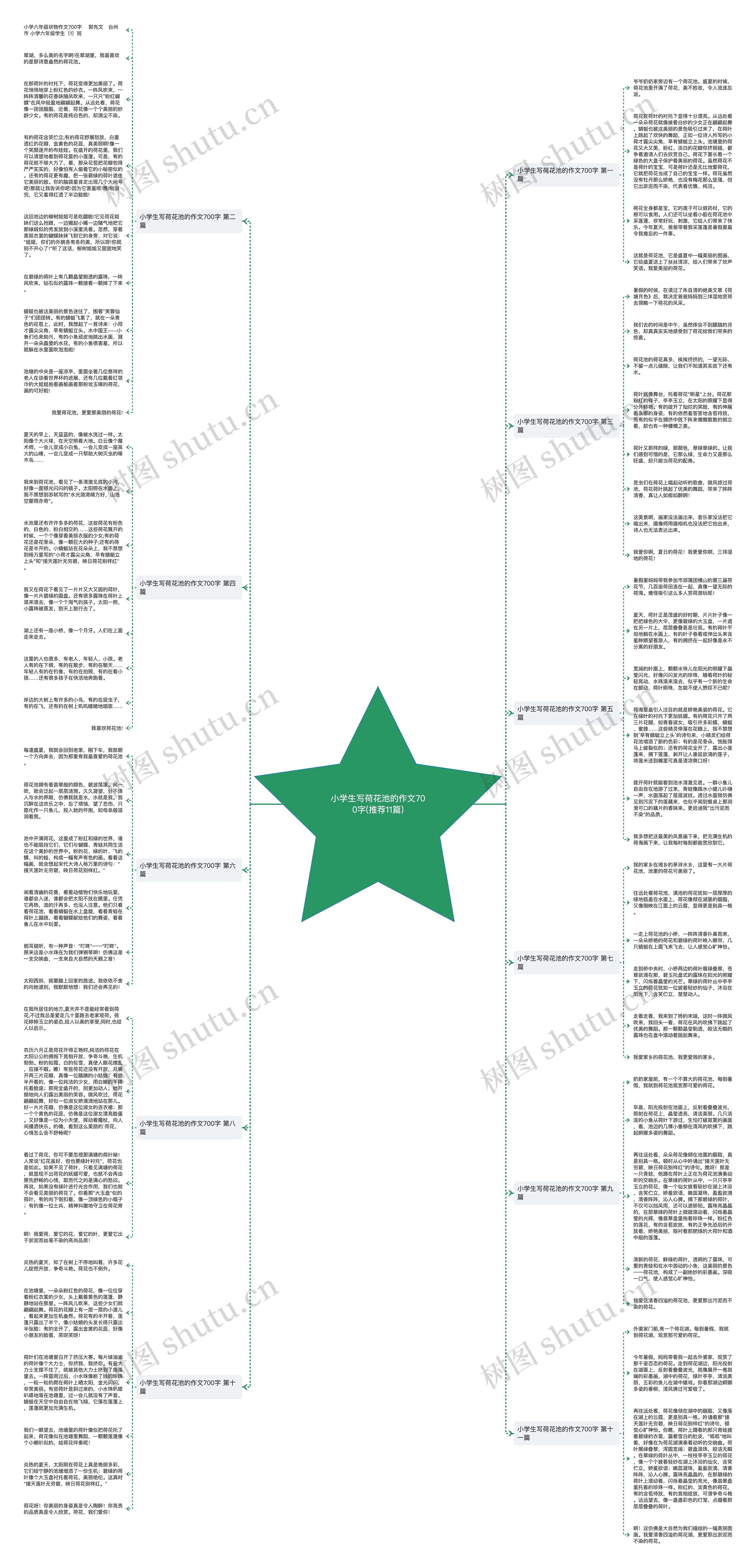 小学生写荷花池的作文700字(推荐11篇)思维导图