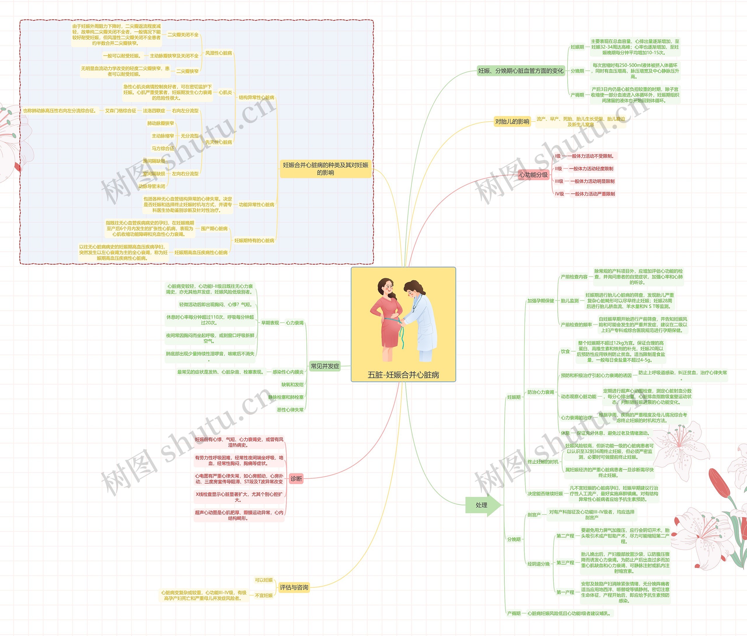 五脏-妊娠合并心脏病思维导图