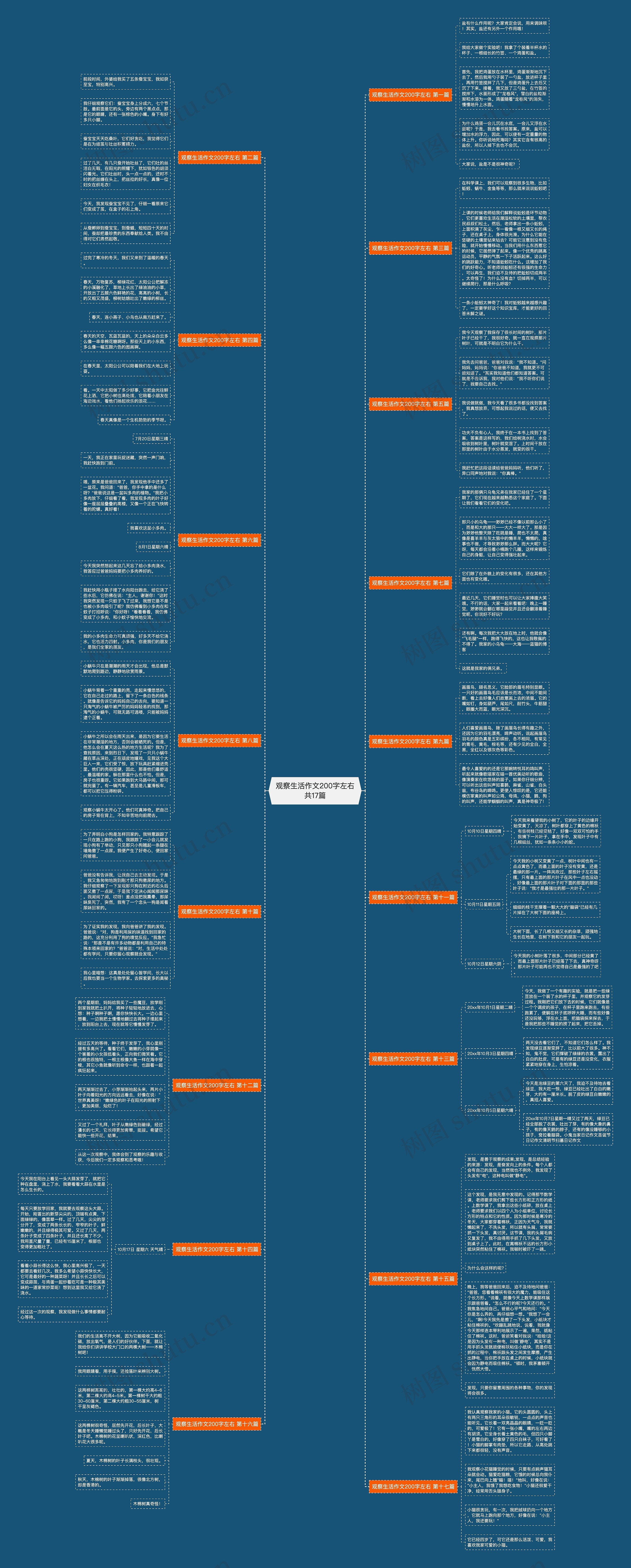 观察生活作文200字左右共17篇思维导图