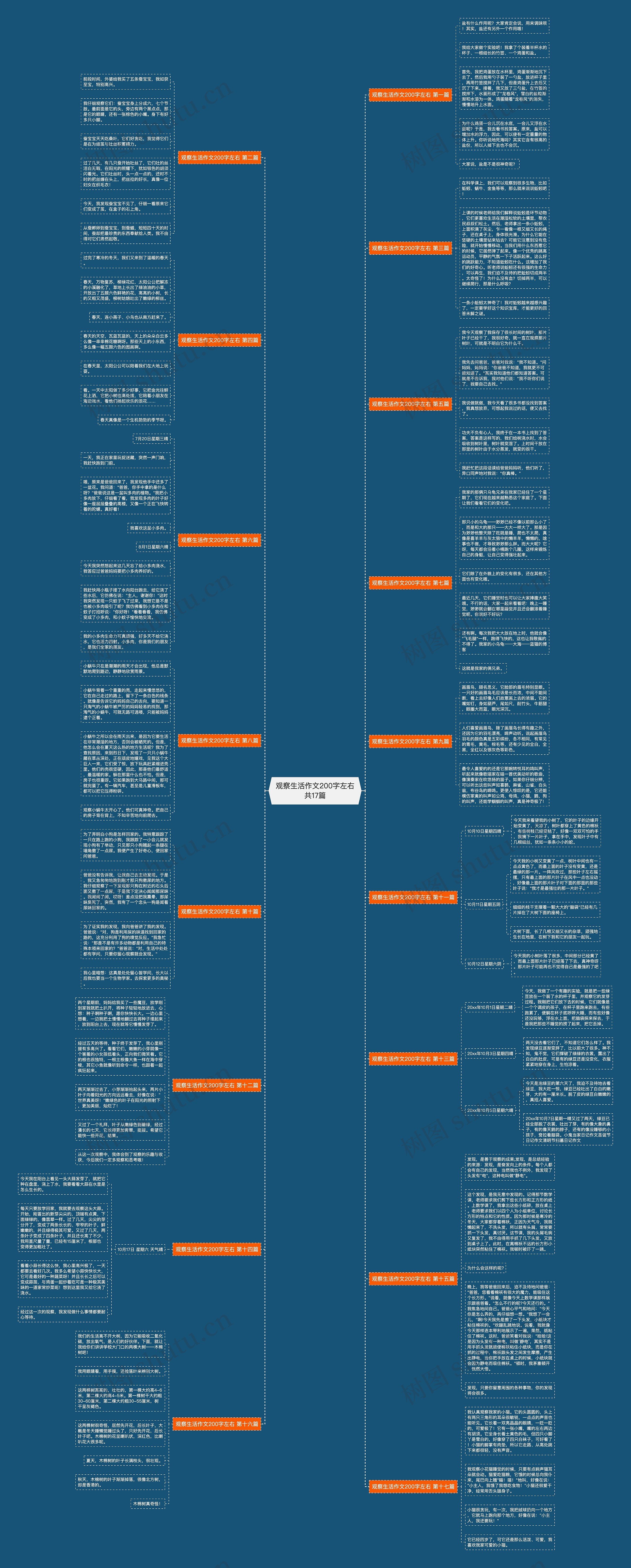 观察生活作文200字左右共17篇 观察生活作文200字左右共17篇