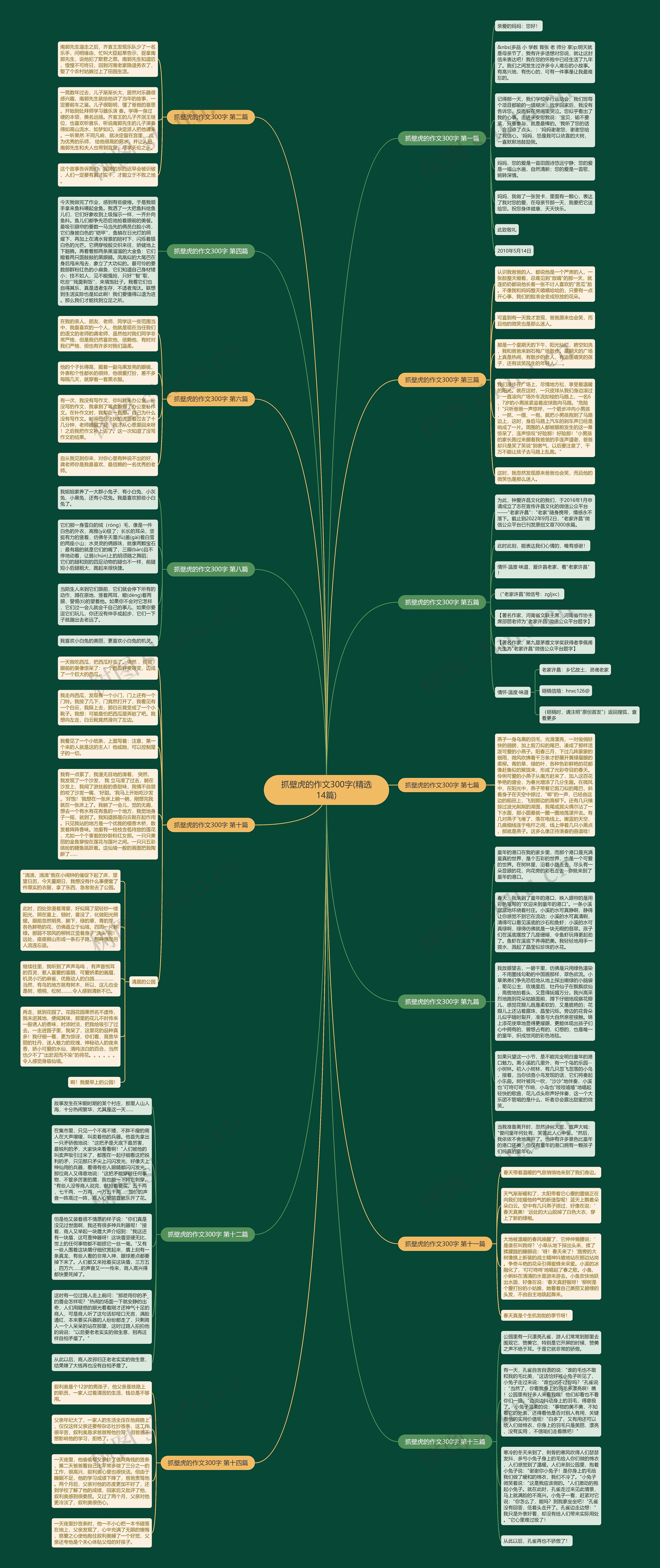 抓壁虎的作文300字(精选14篇)思维导图