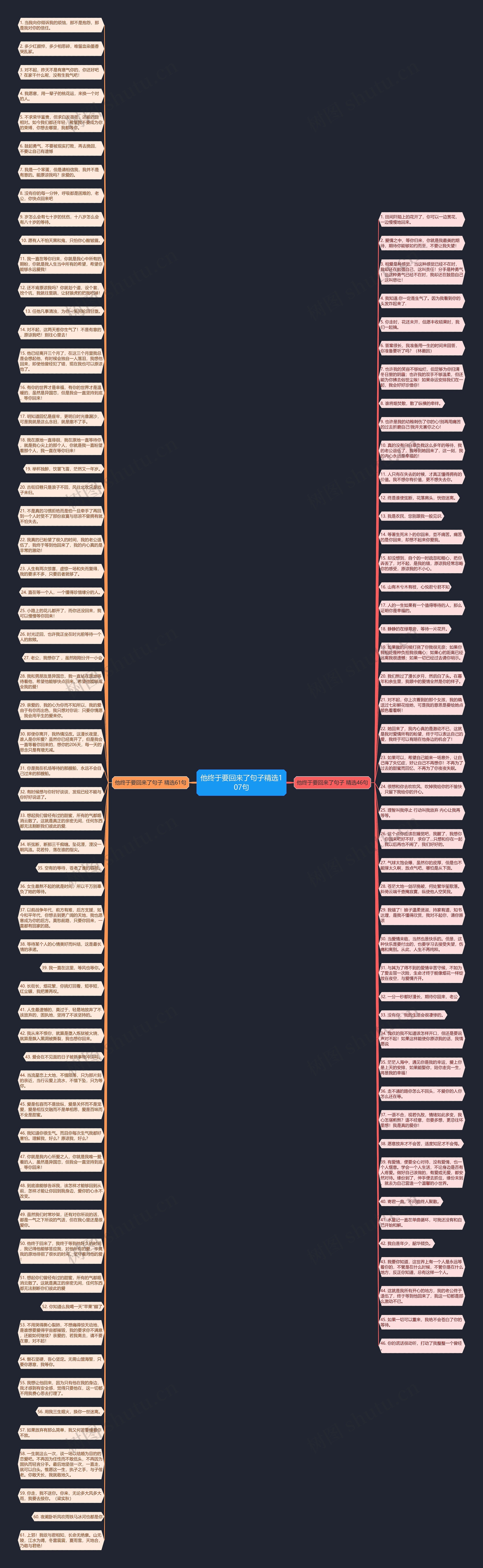 他终于要回来了句子精选107句思维导图