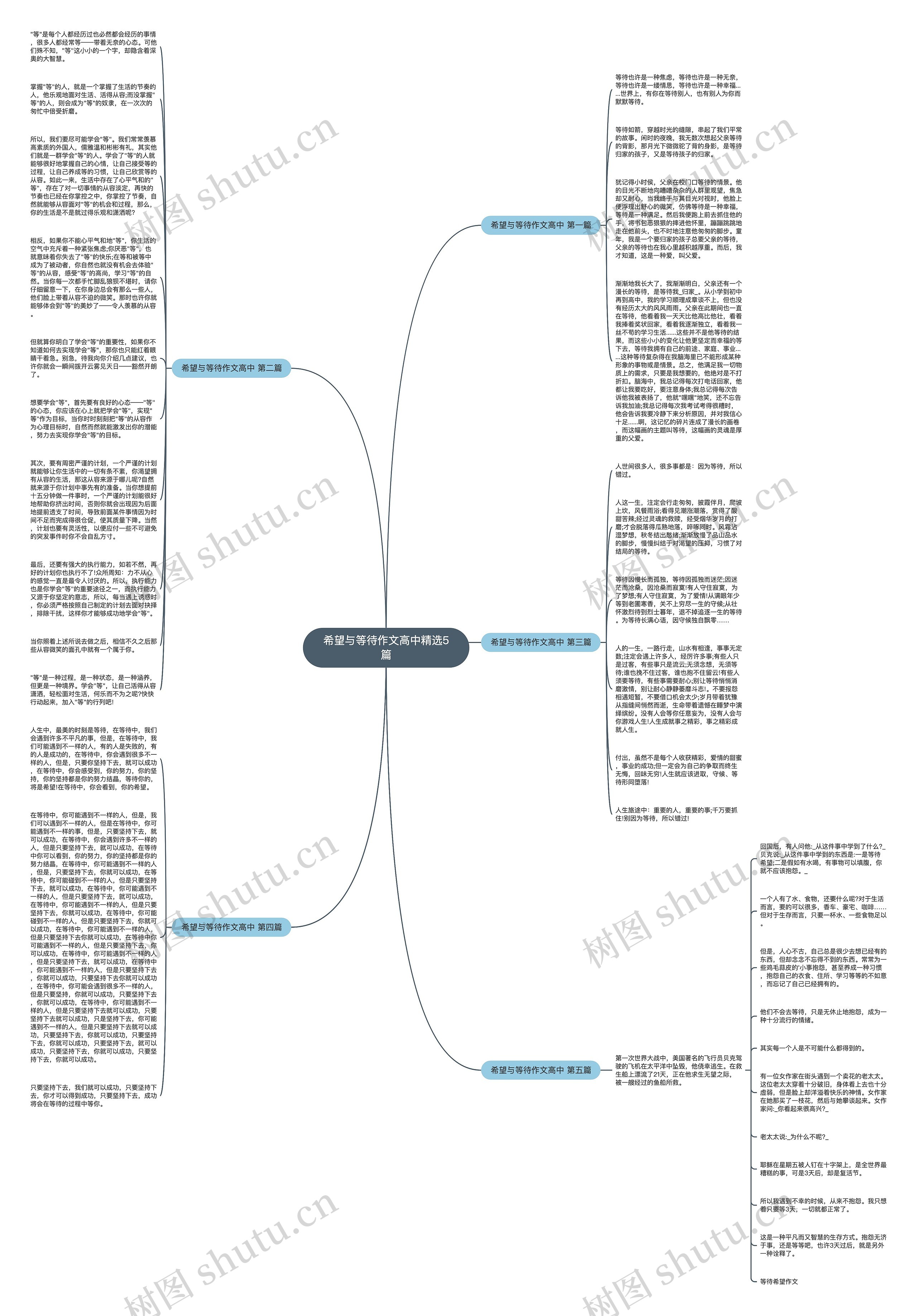 希望与等待作文高中精选5篇思维导图