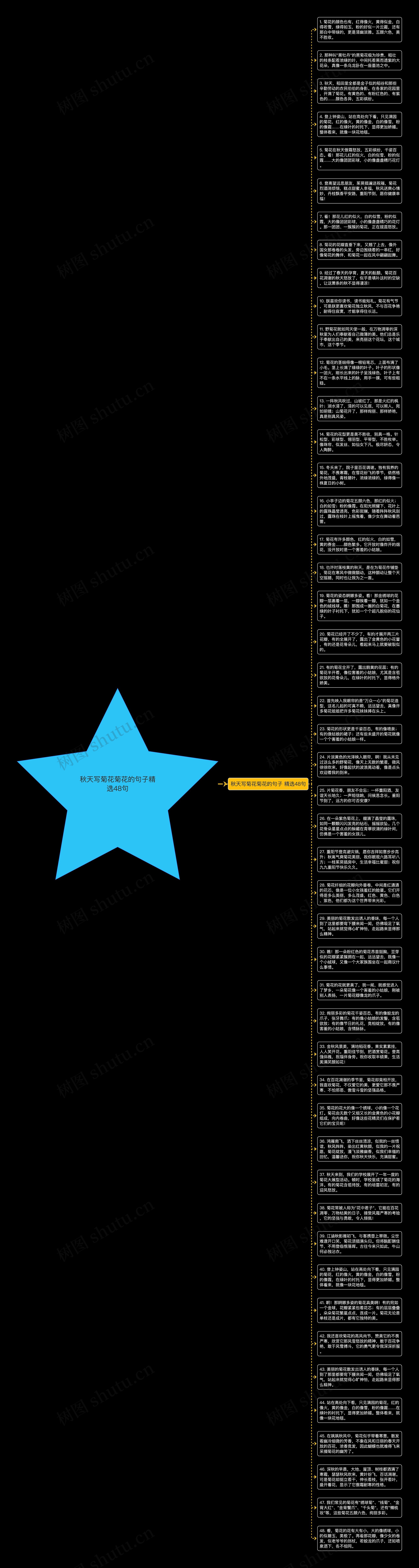 秋天写菊花菊花的句子精选48句思维导图