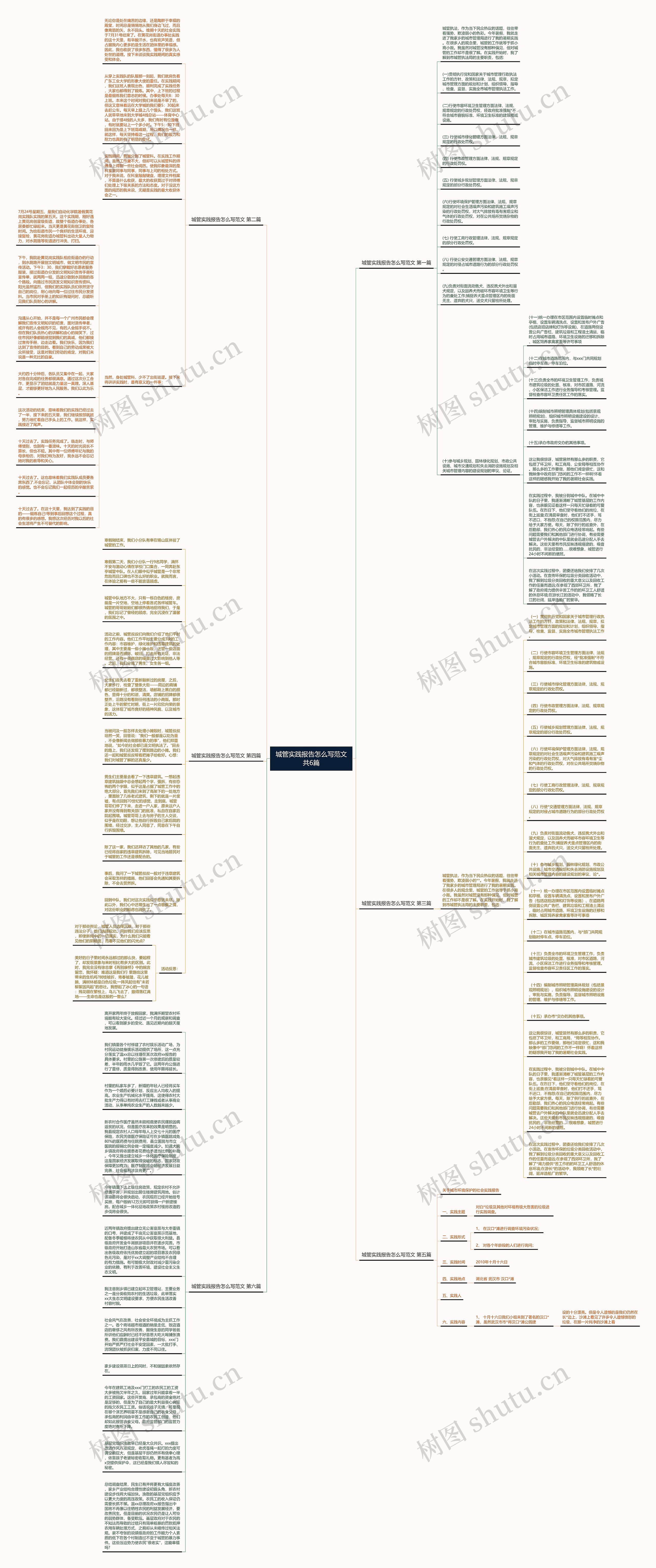 城管实践报告怎么写范文共6篇思维导图