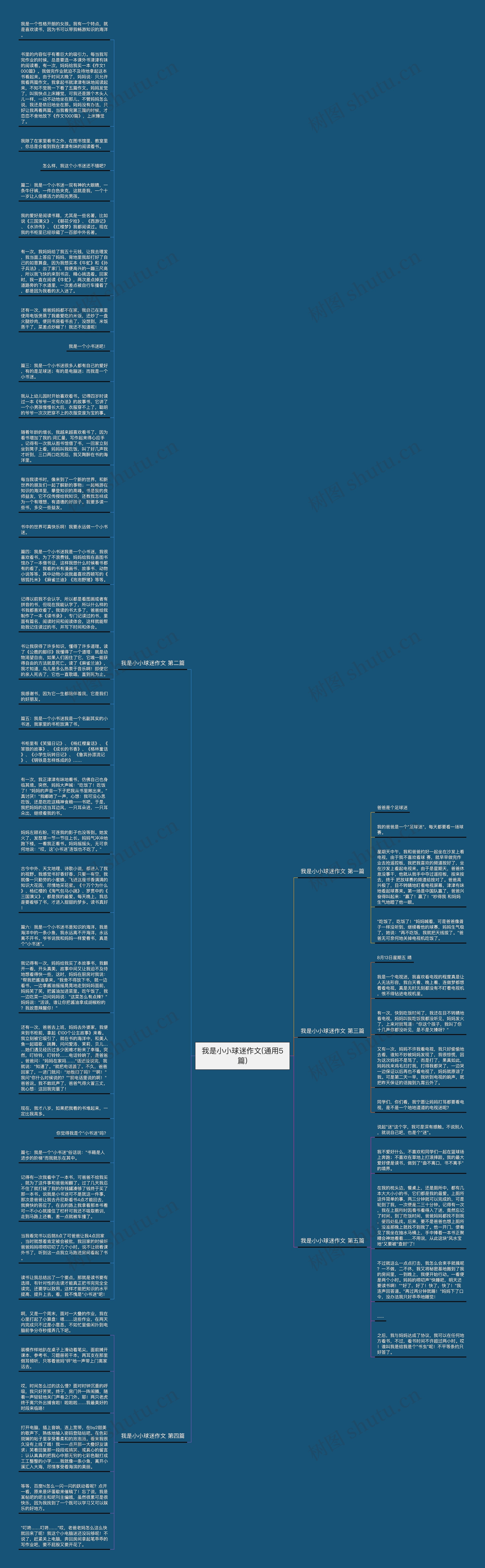 我是小小球迷作文(通用5篇)思维导图