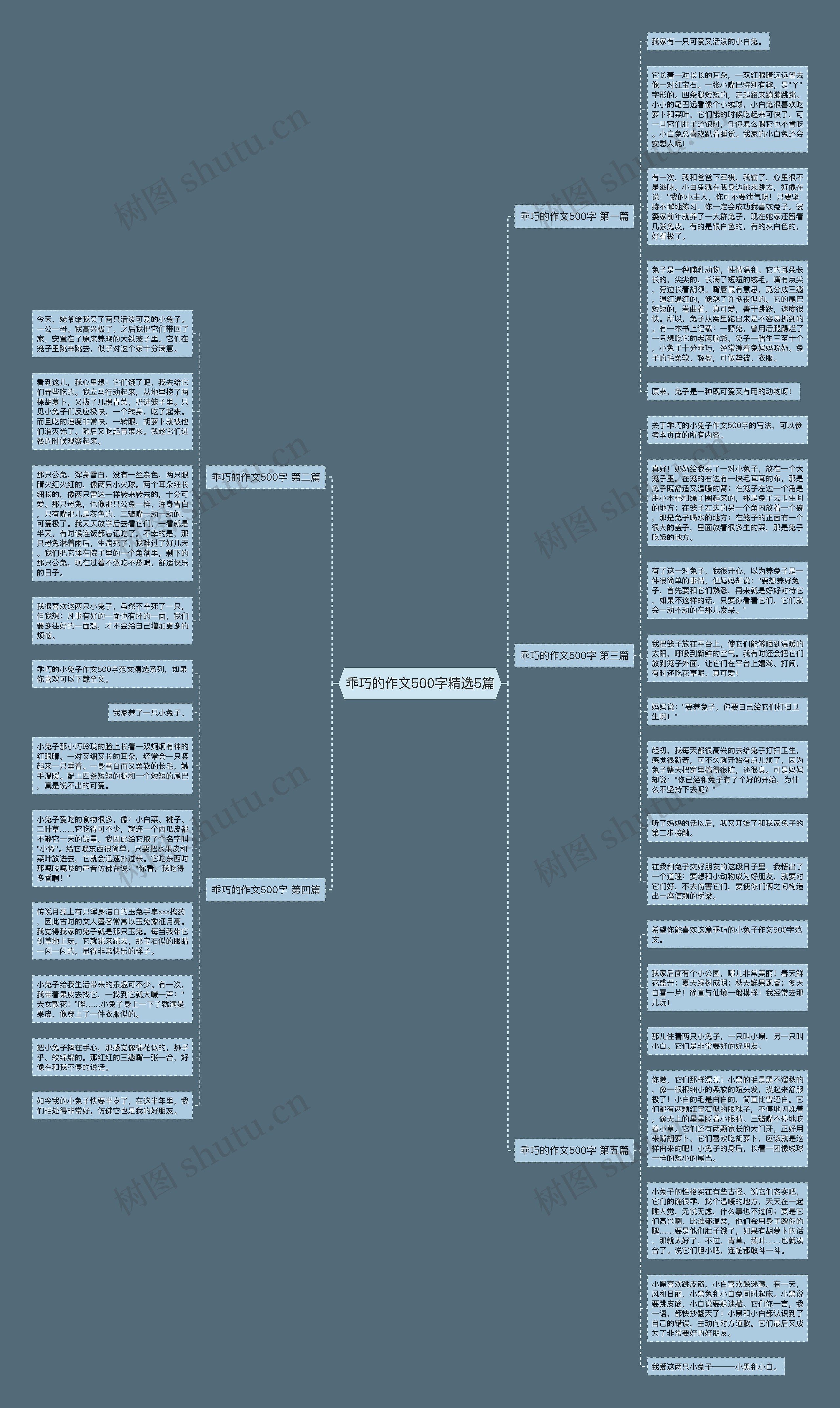 乖巧的作文500字精选5篇思维导图