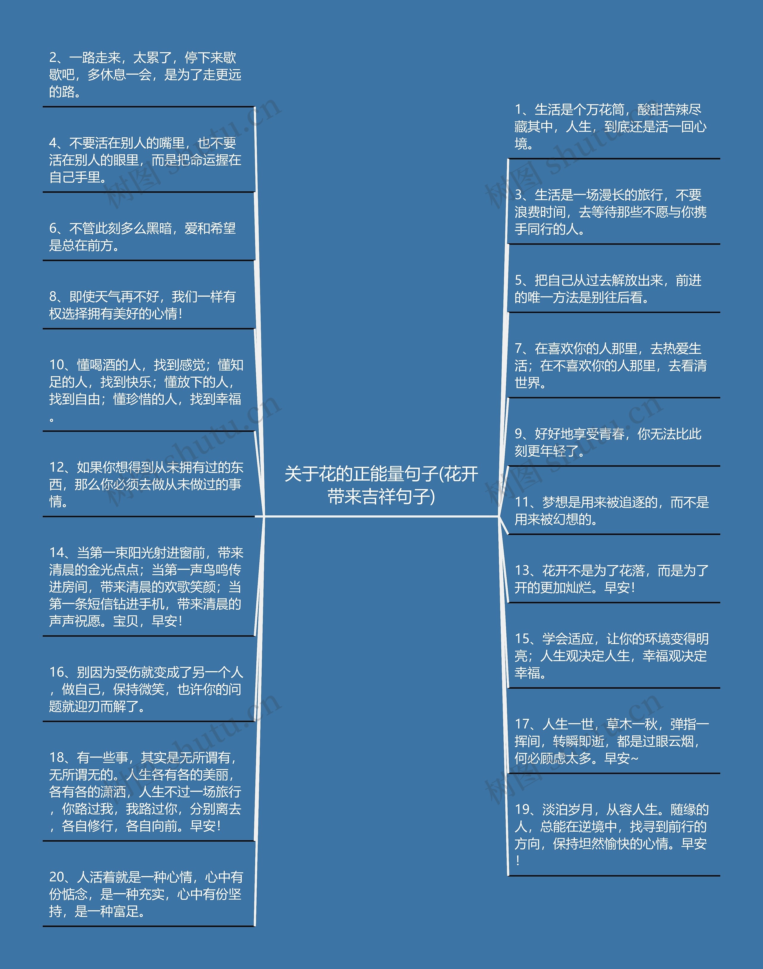 关于花的正能量句子(花开带来吉祥句子)思维导图