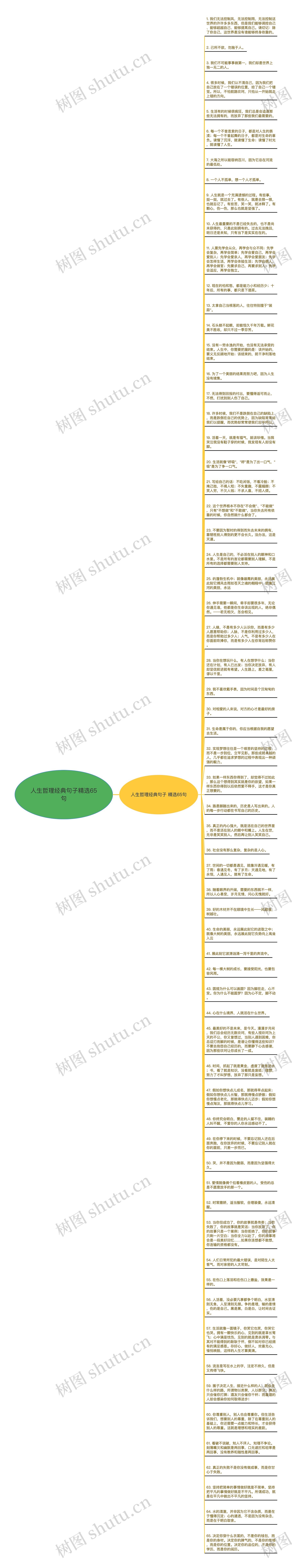 人生哲理经典句子精选65句