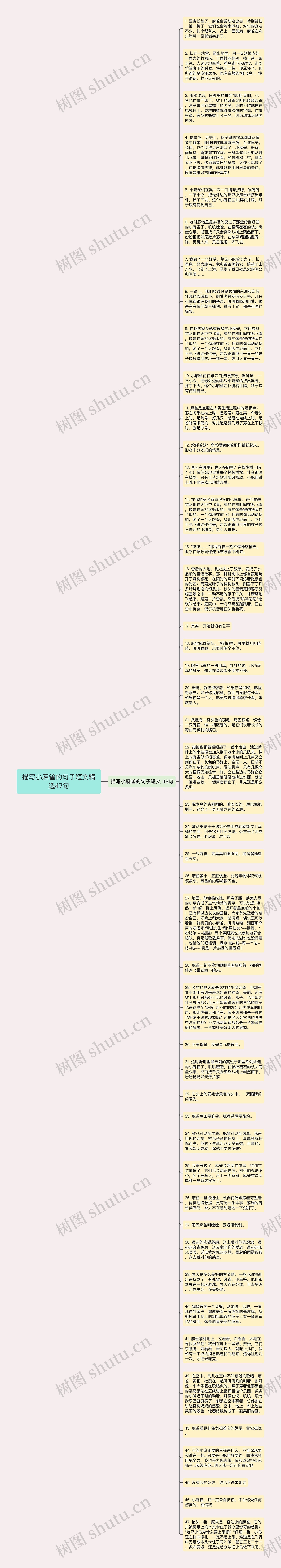 描写小麻雀的句子短文精选47句