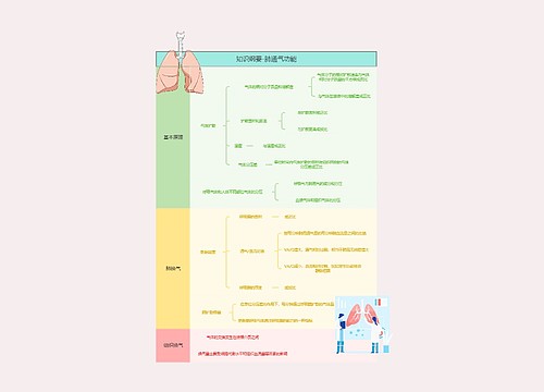 知识纲要-肺通气功能