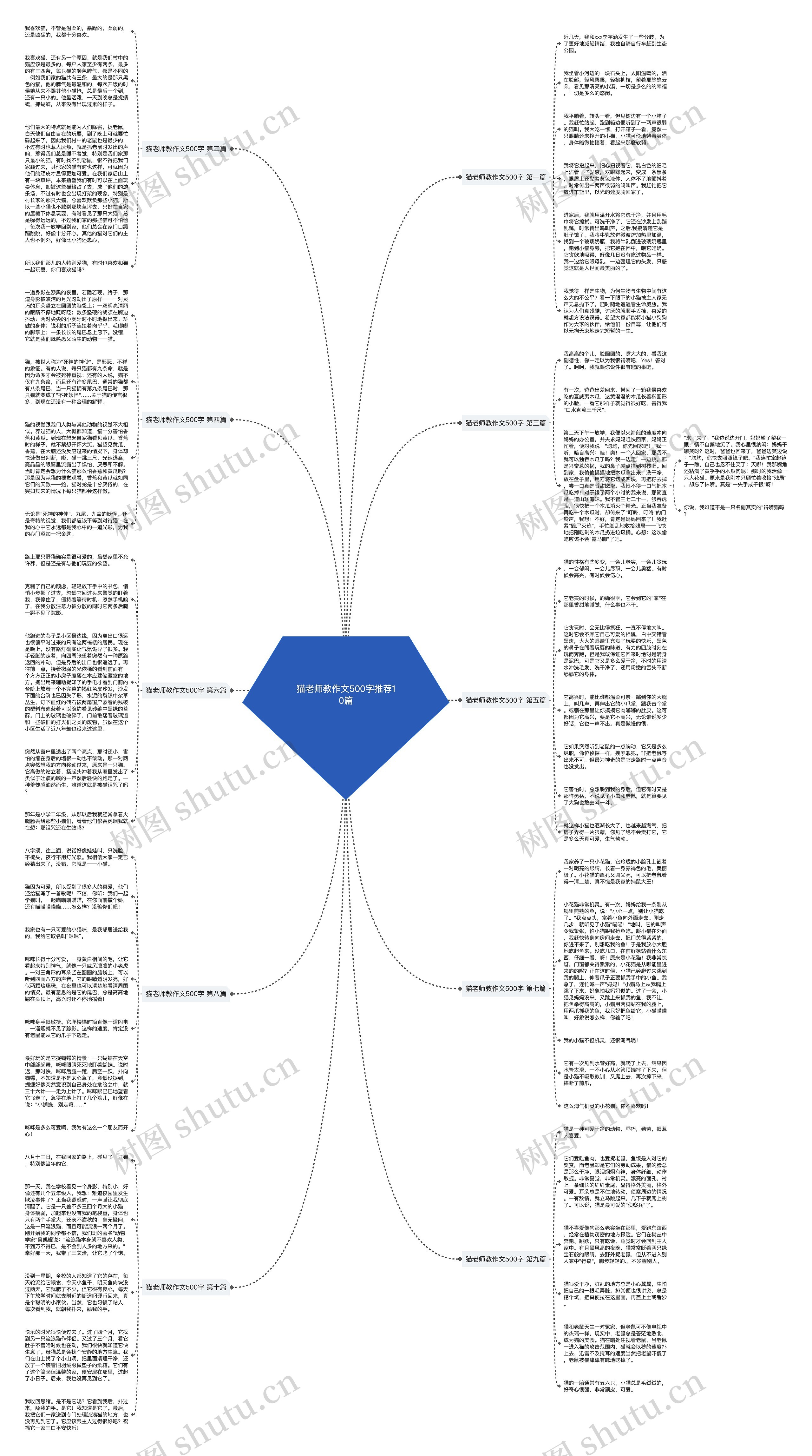 猫老师教作文500字推荐10篇思维导图