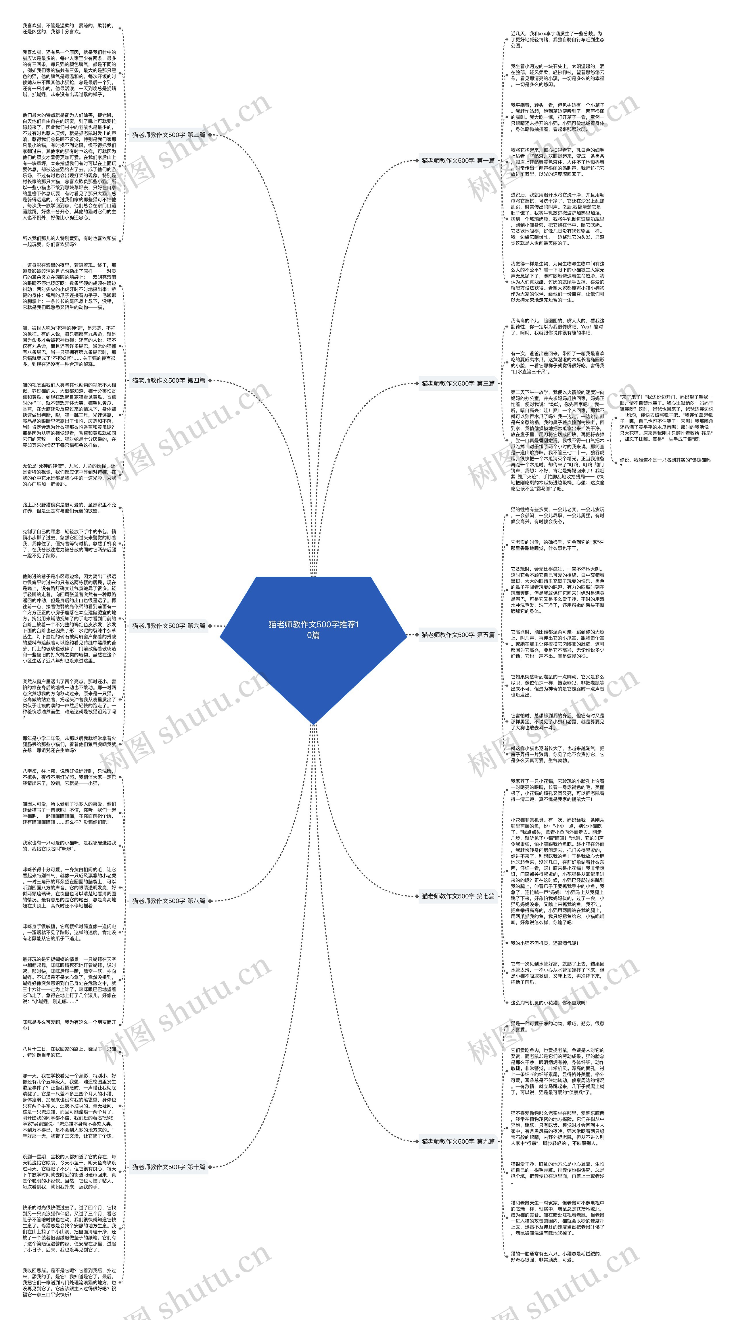 猫老师教作文500字推荐10篇 猫老师教作文500字推荐10篇