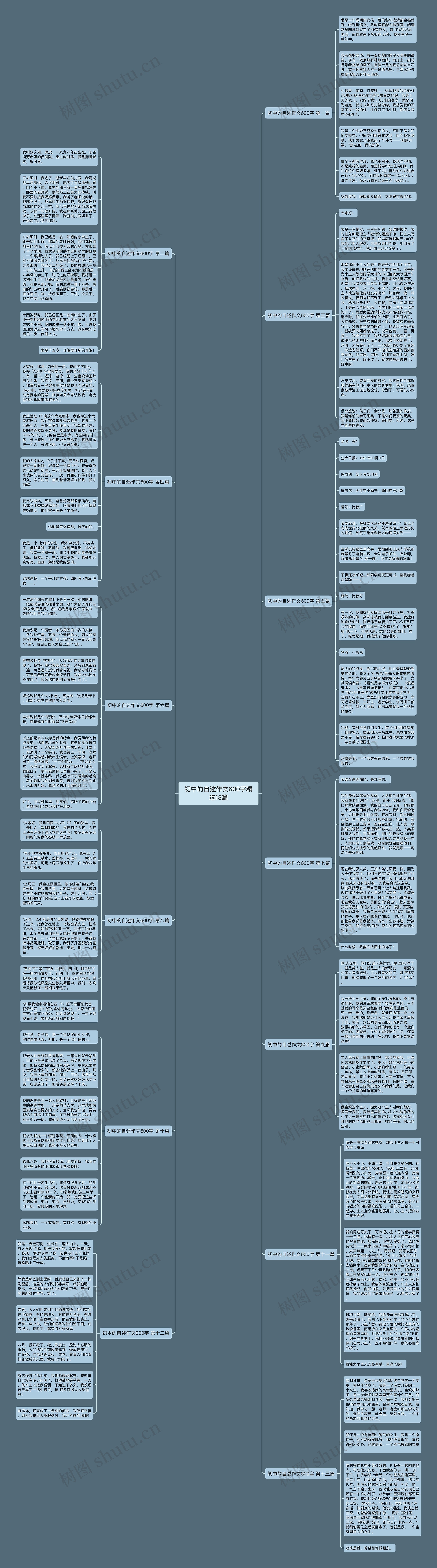 初中的自述作文600字精选13篇思维导图