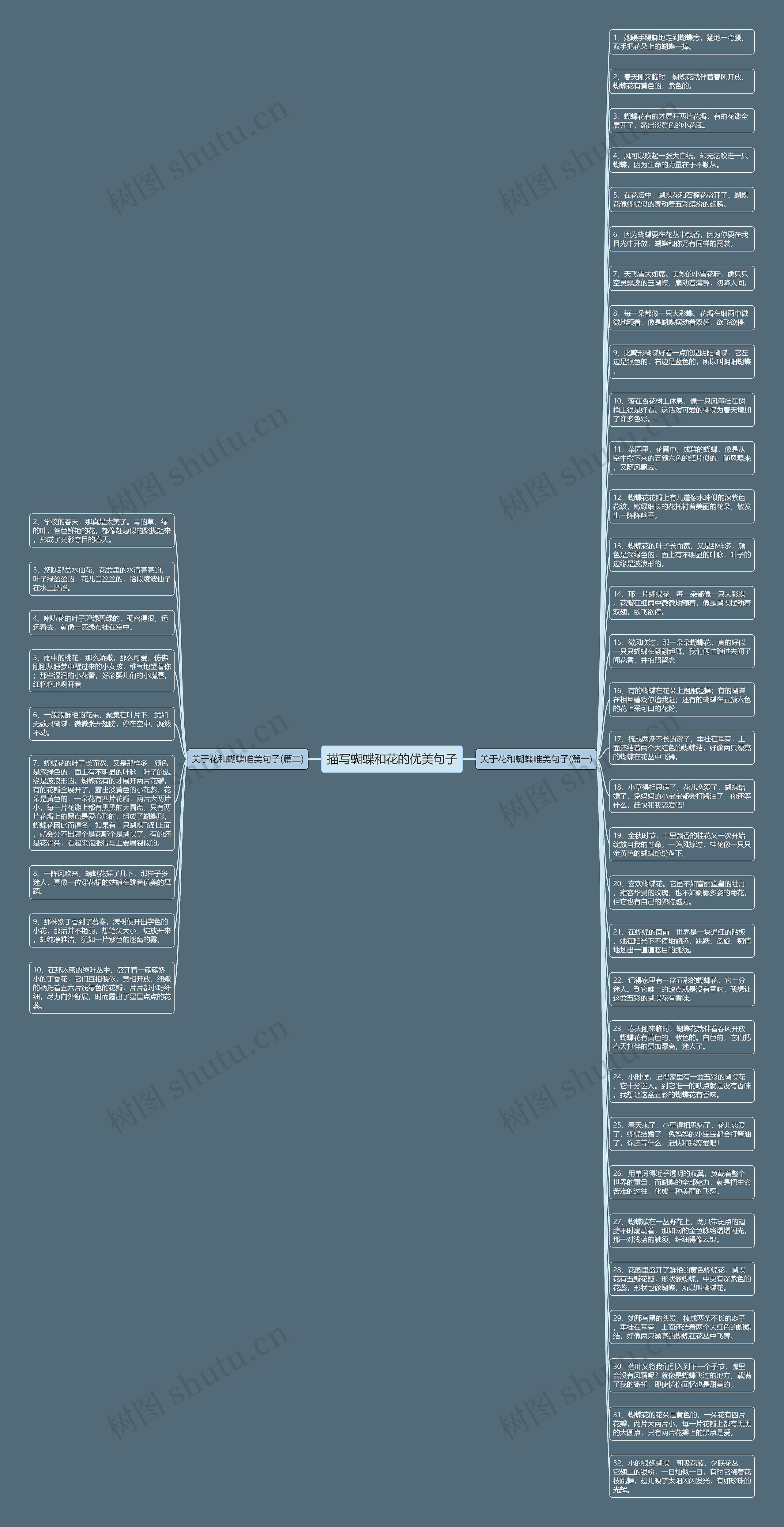 描写蝴蝶和花的优美句子思维导图