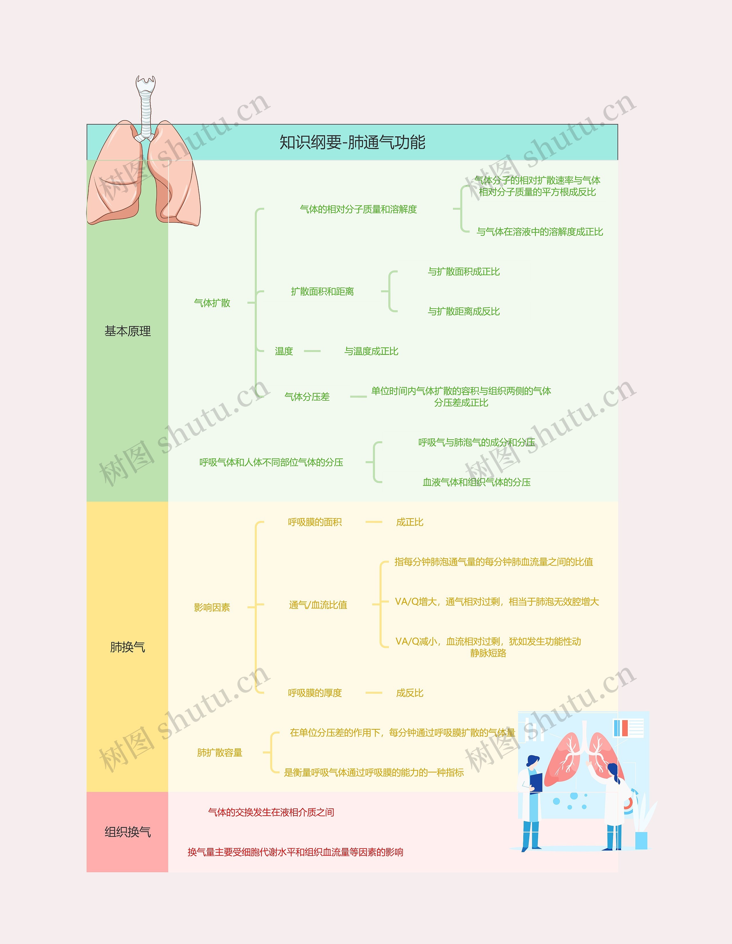 知识纲要-肺通气功能