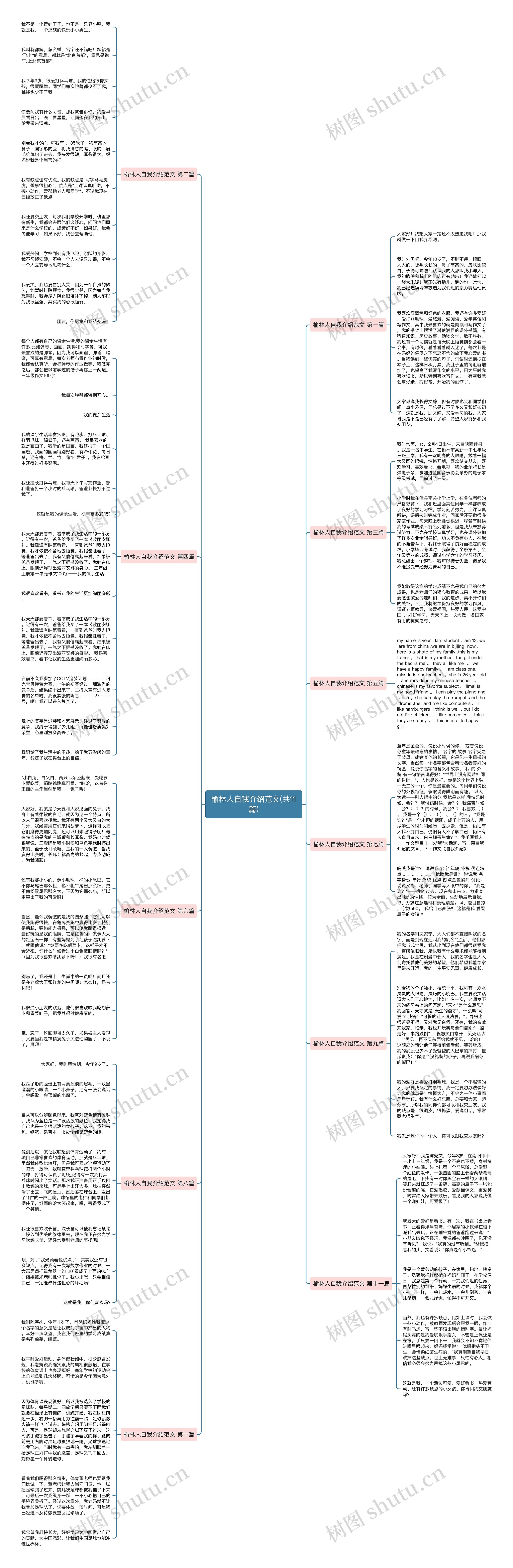 榆林人自我介绍范文(共11篇)思维导图