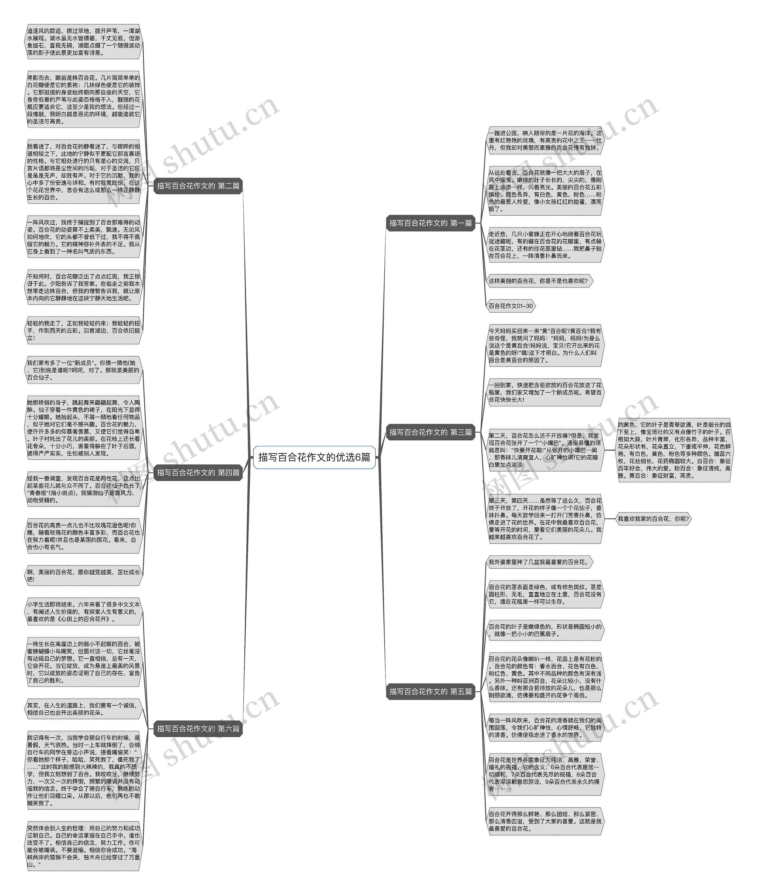 描写百合花作文的优选6篇思维导图