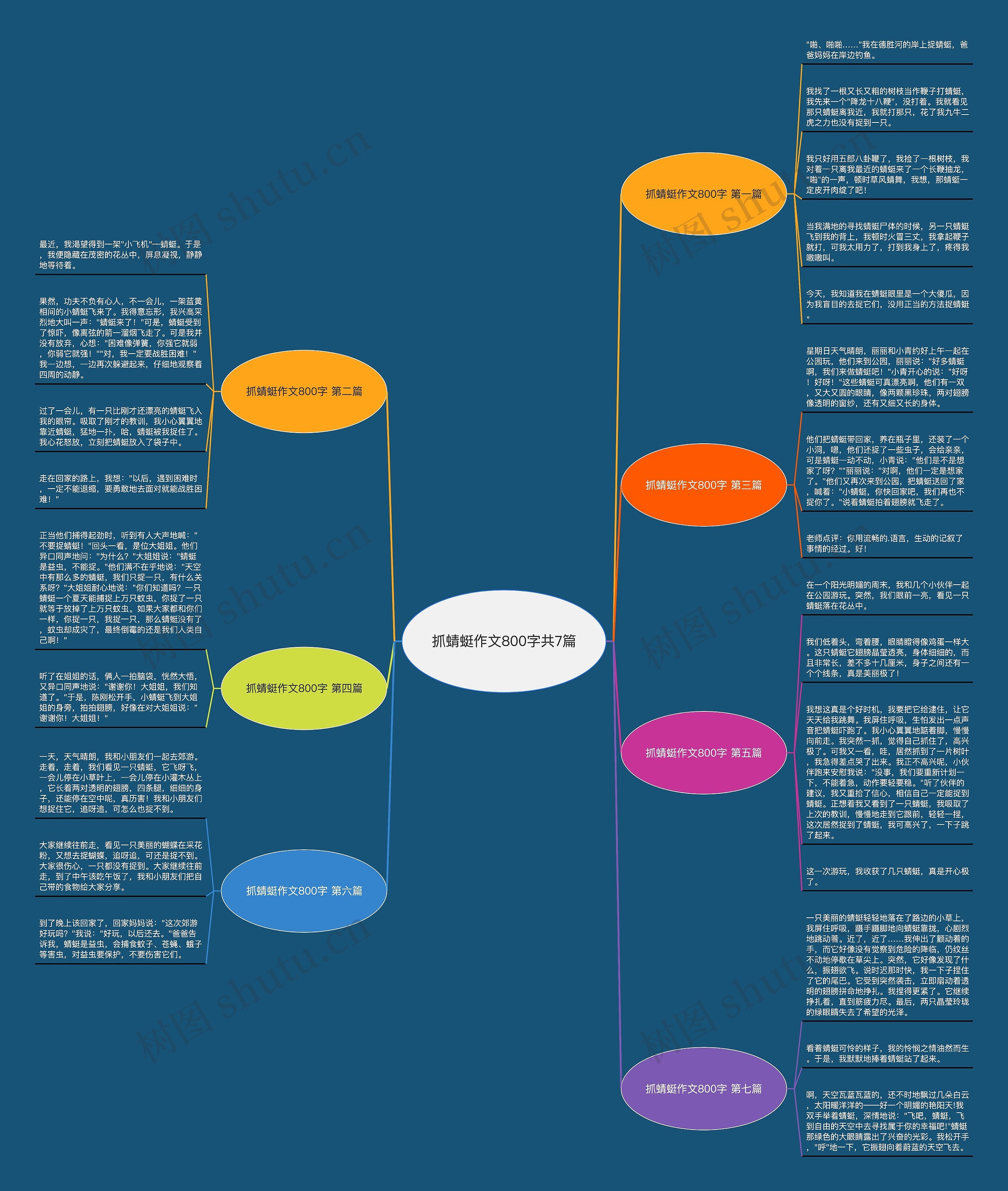 抓蜻蜓作文800字共7篇思维导图