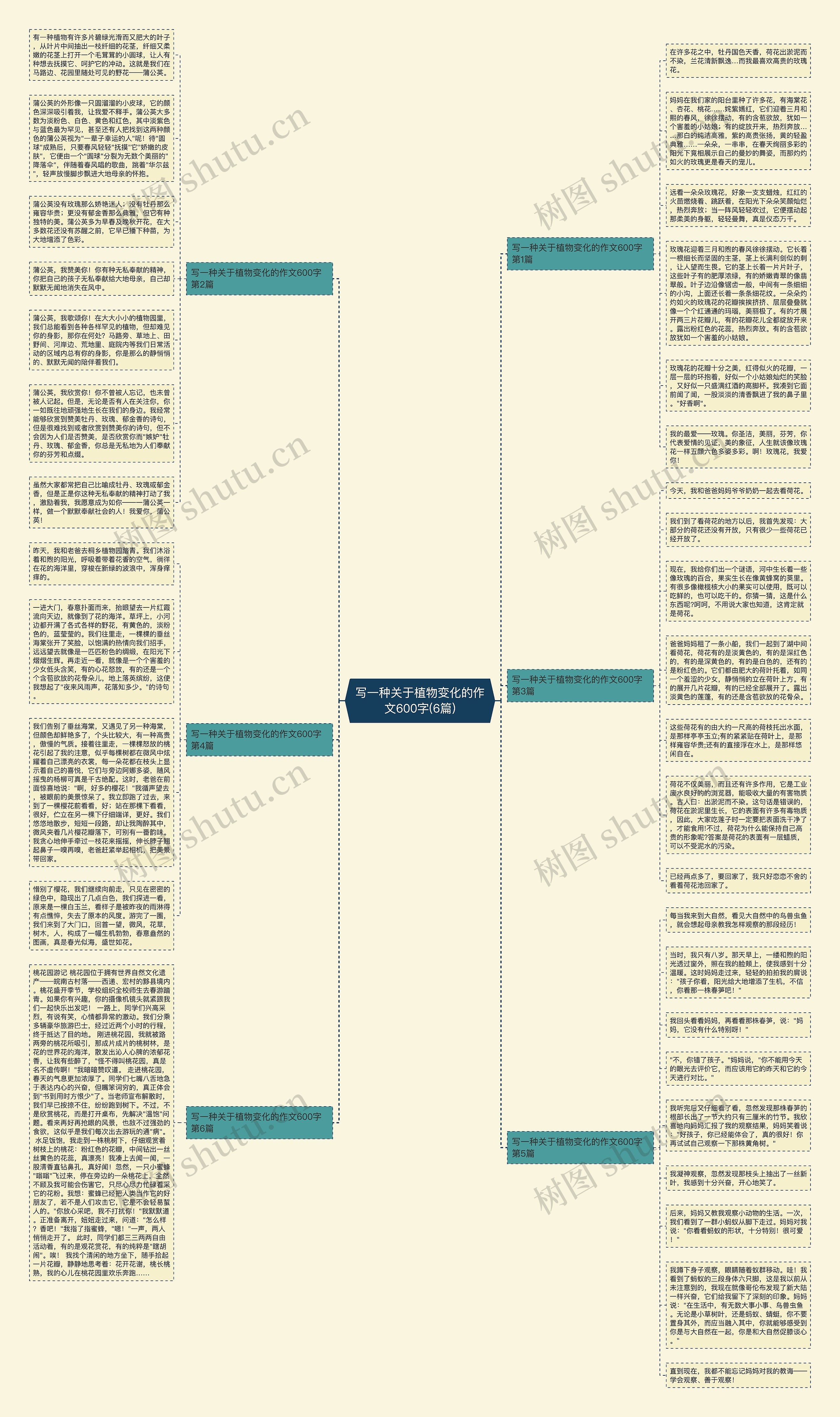 写一种关于植物变化的作文600字(6篇)思维导图