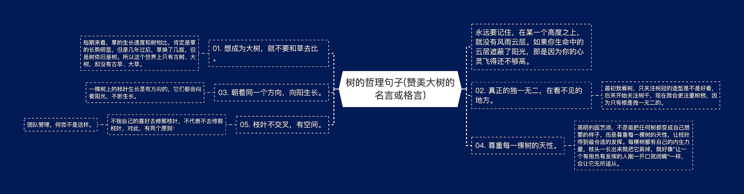 树的哲理句子(赞美大树的名言或格言)思维导图