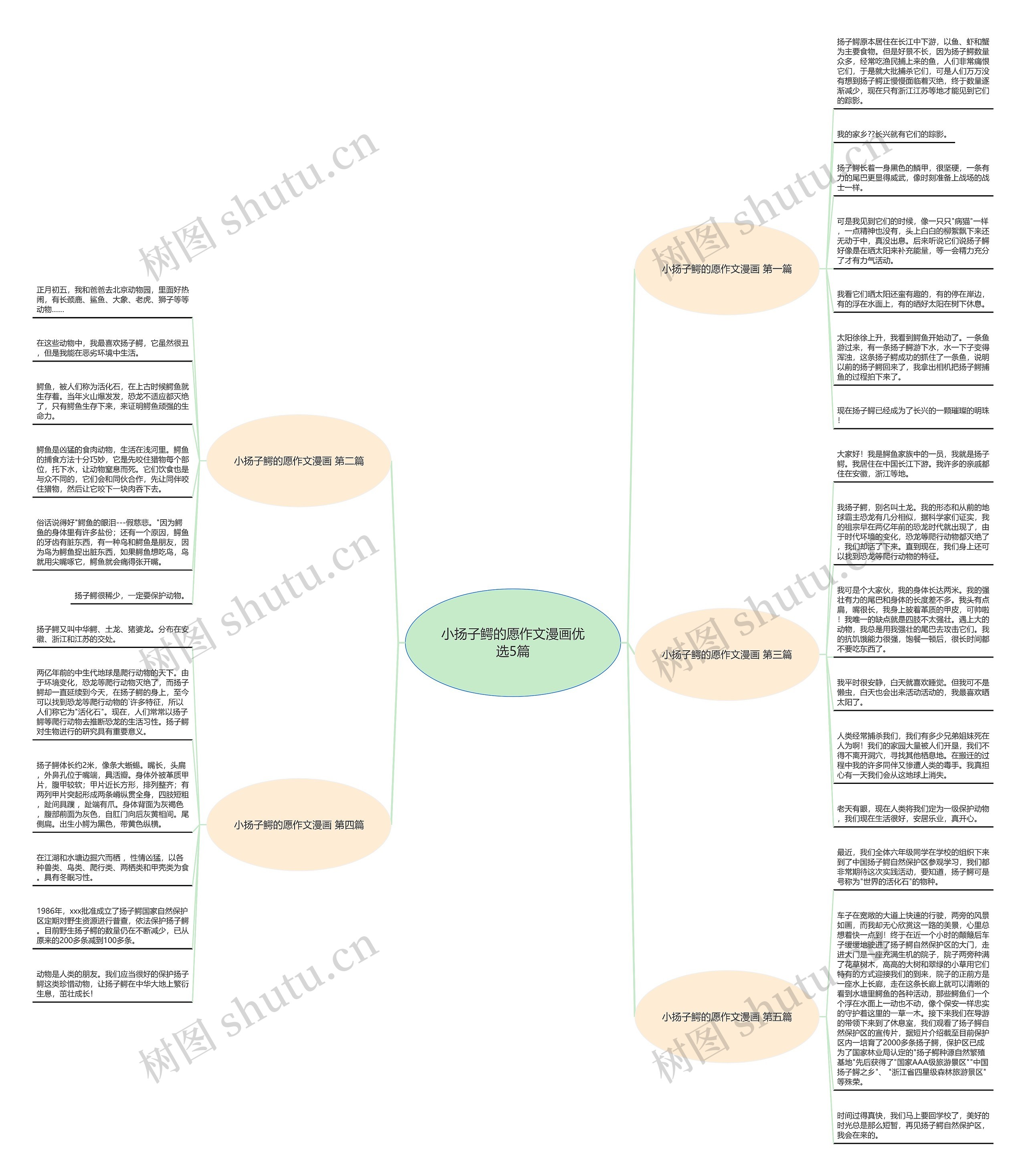 小扬子鳄的愿作文漫画优选5篇思维导图
