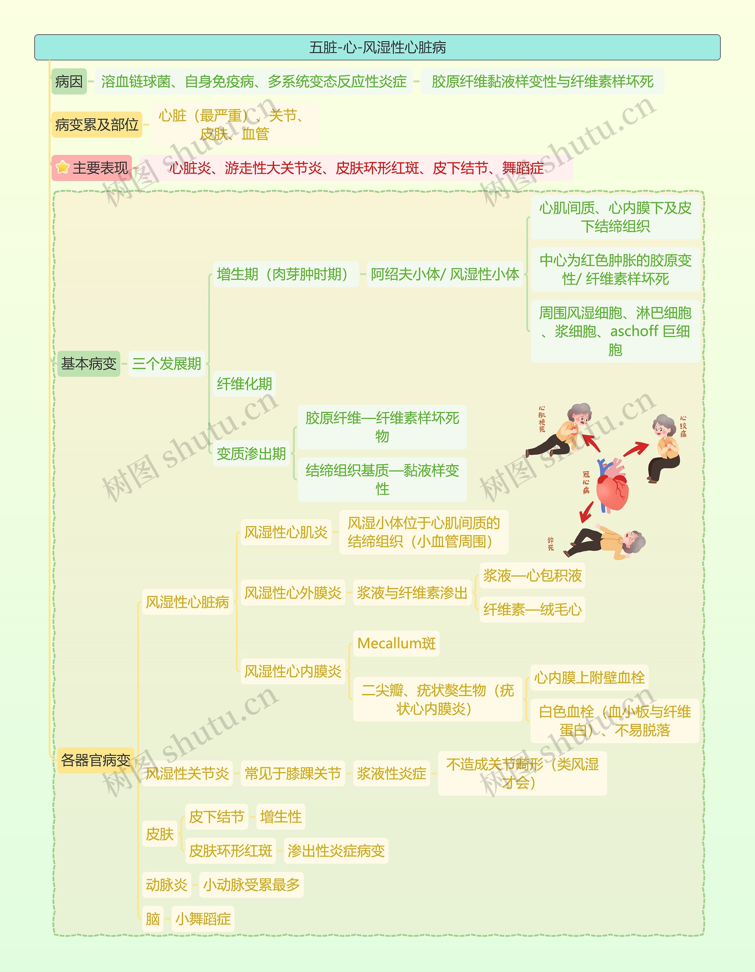 五脏-心-风湿性心脏病思维导图