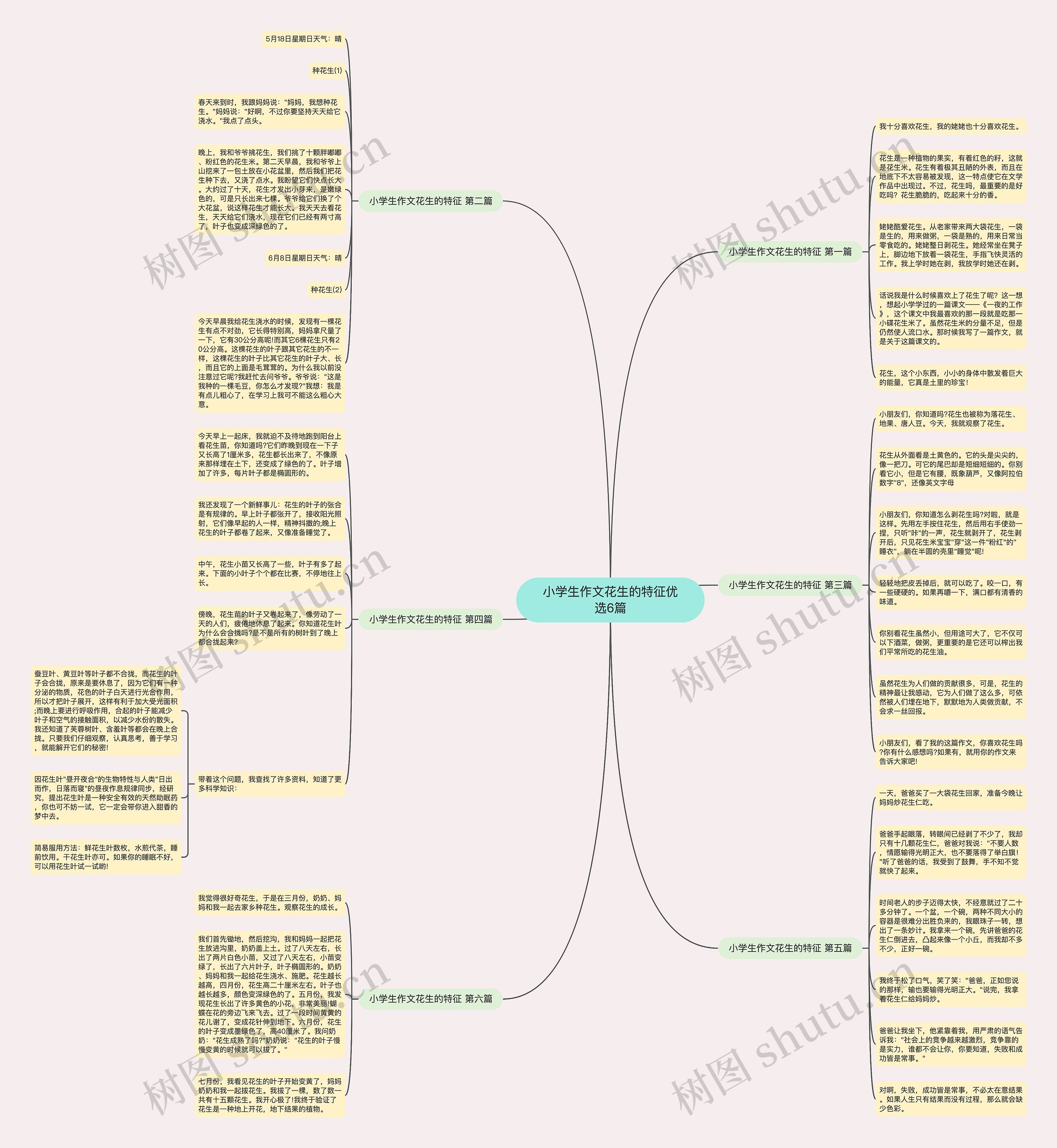 小学生作文花生的特征优选6篇思维导图