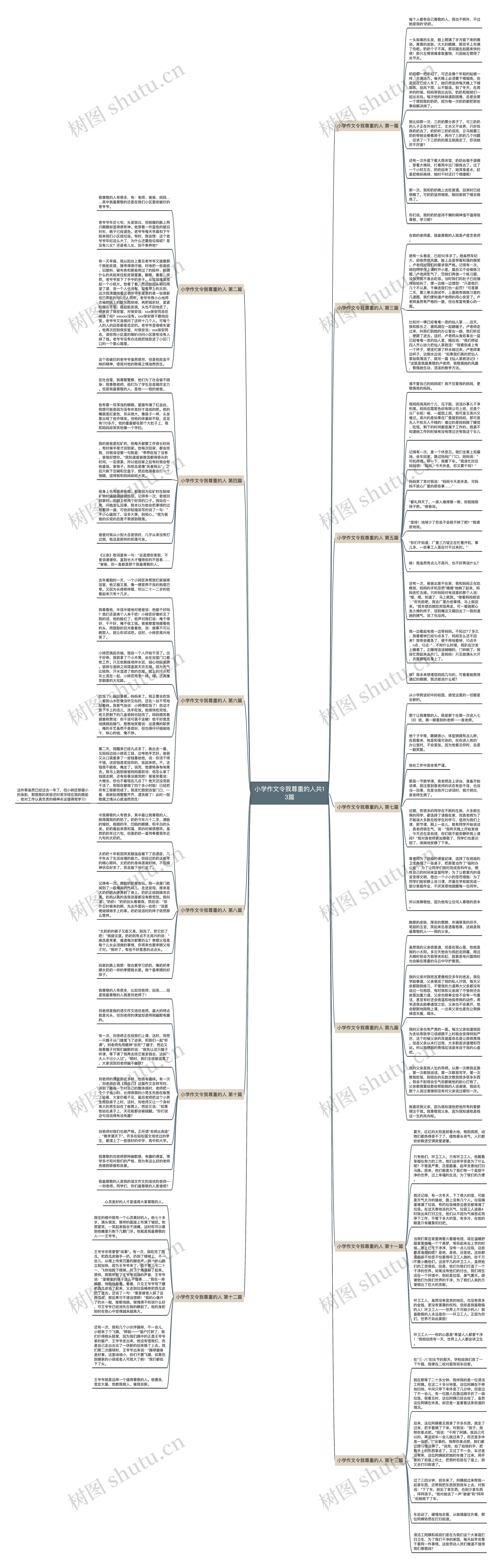 小学作文令我尊重的人共13篇思维导图