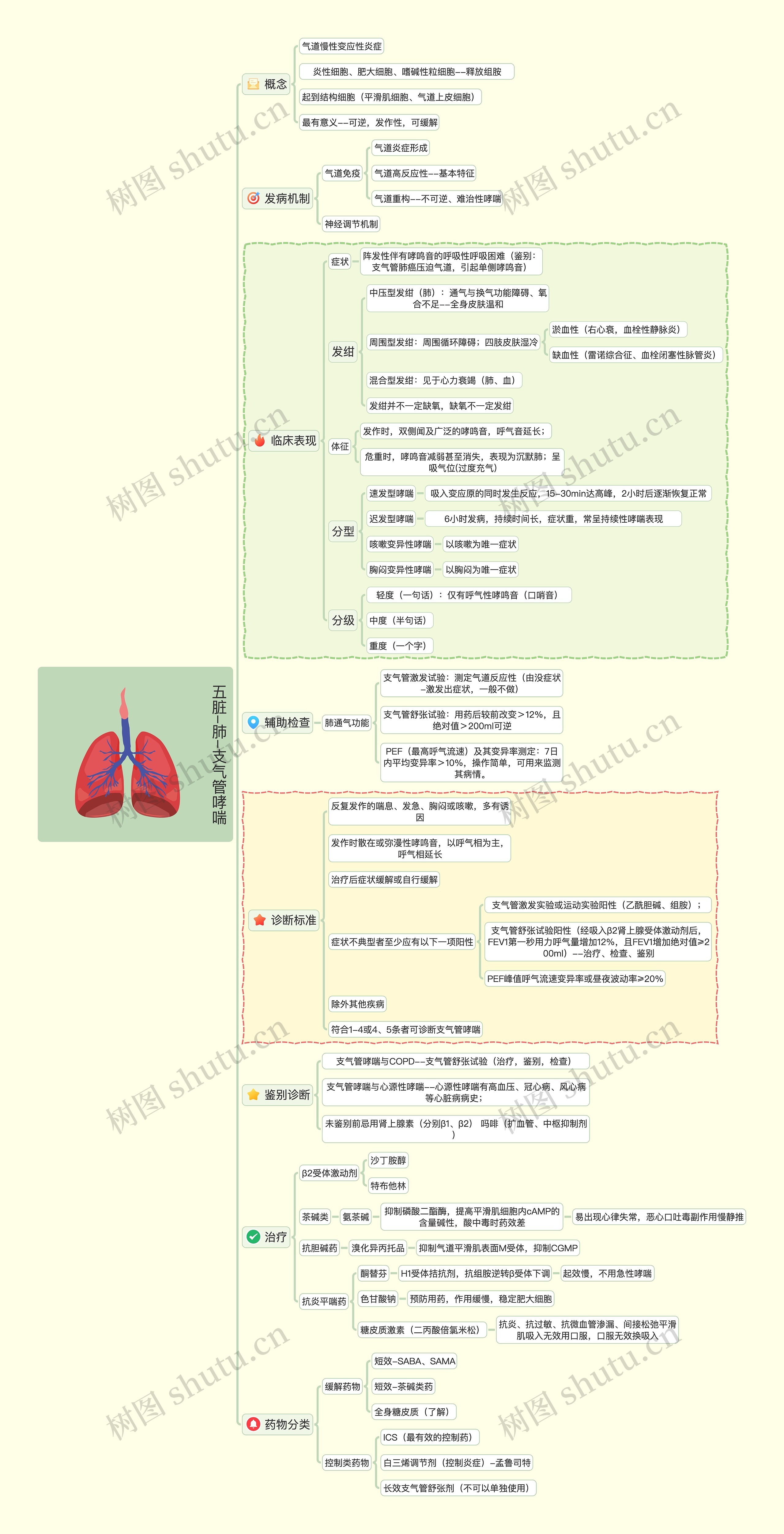 五脏-肺-支气管哮喘思维导图
