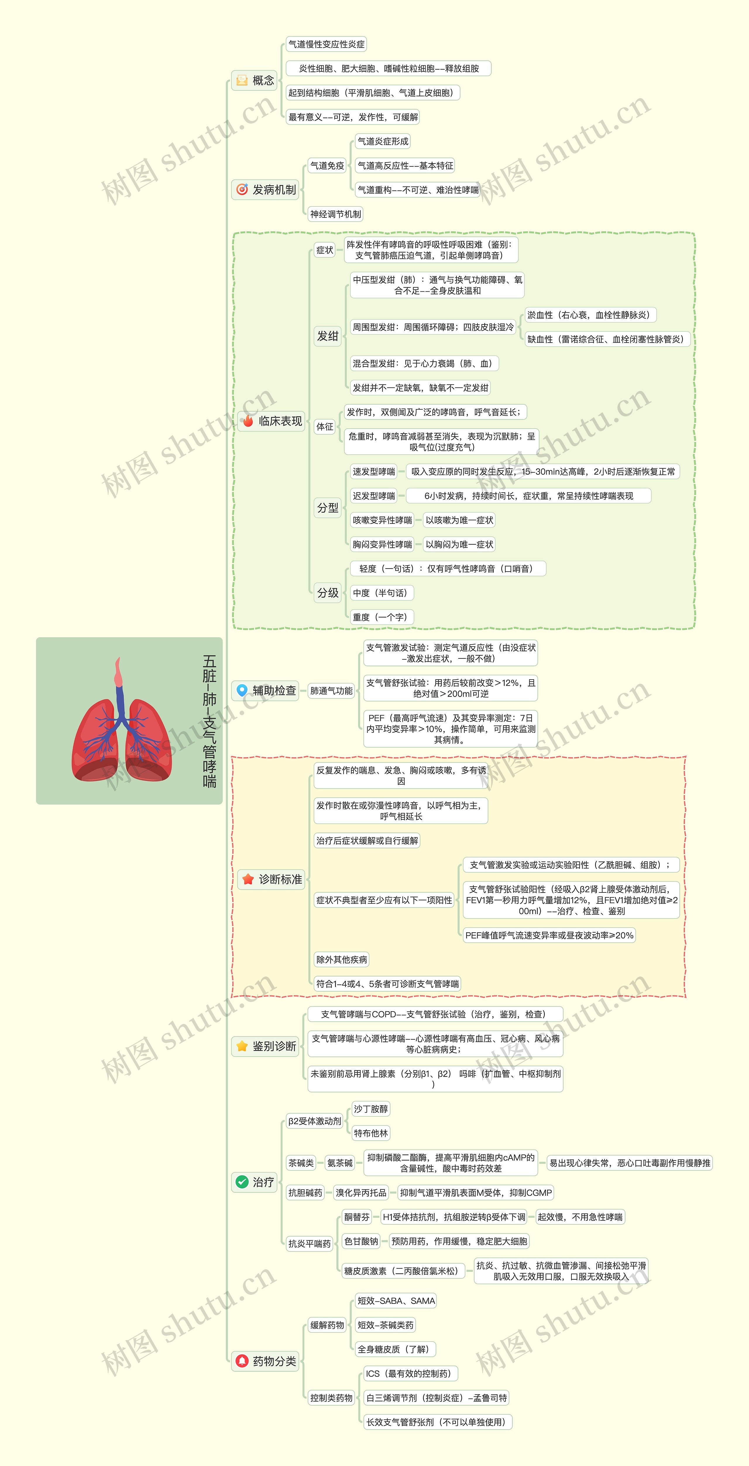 五脏-肺-支气管哮喘
