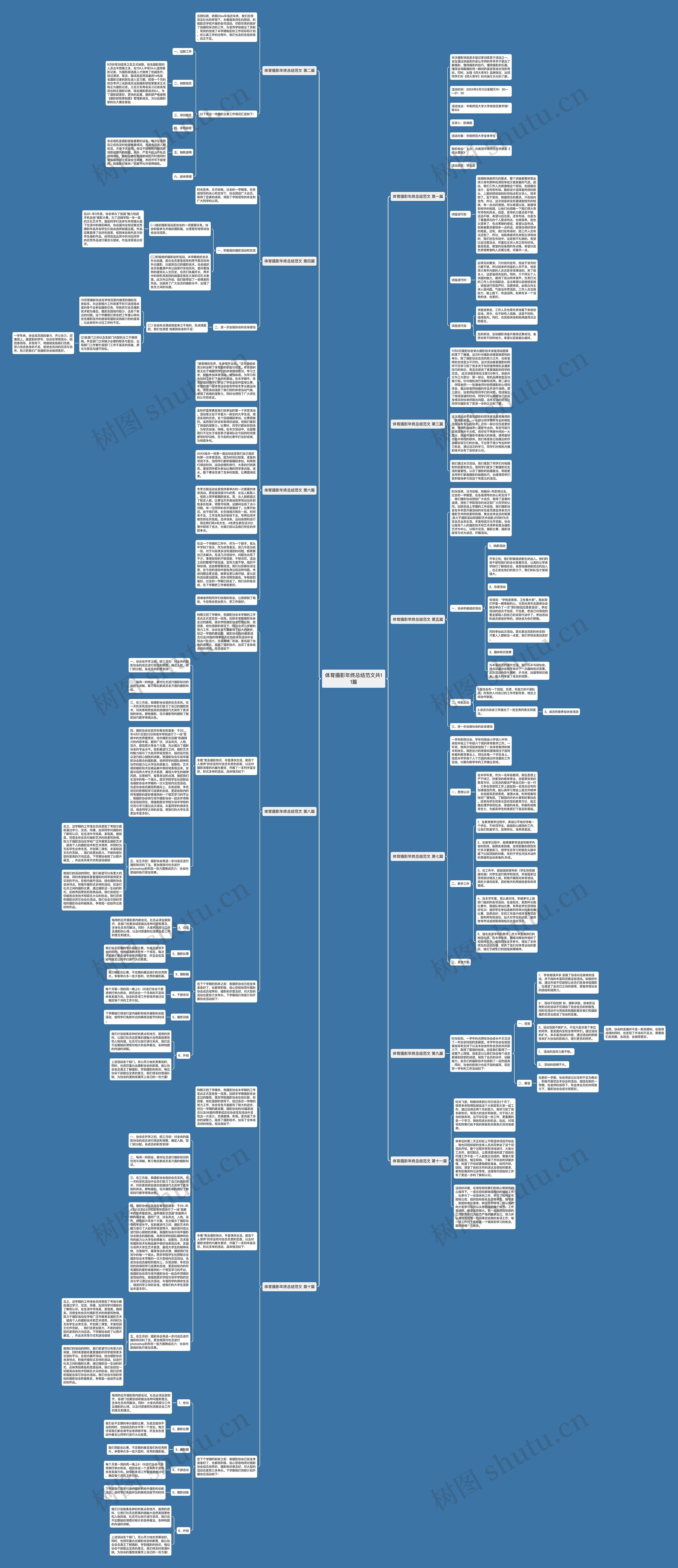 体育摄影年终总结范文共11篇思维导图