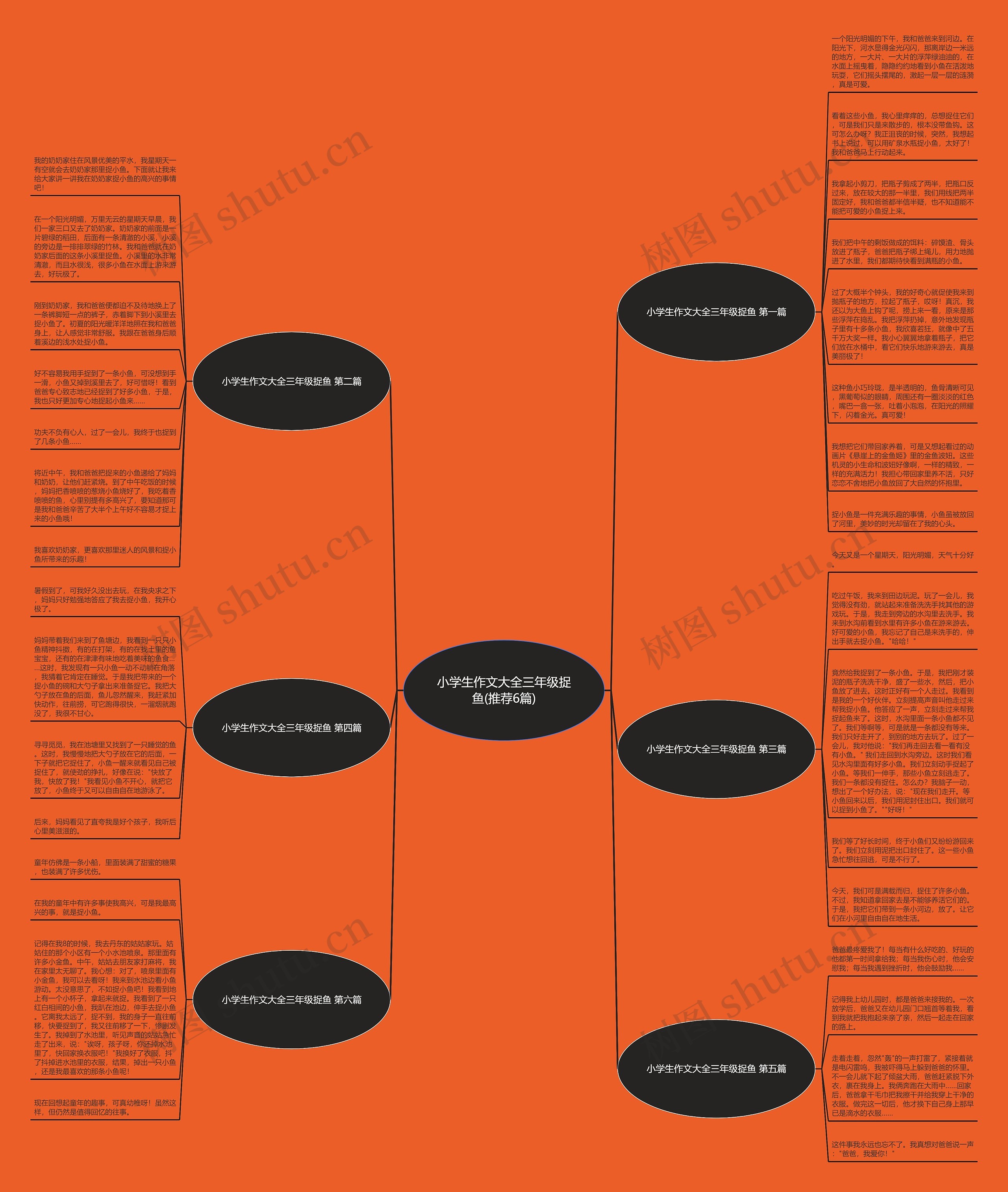 小学生作文大全三年级捉鱼(推荐6篇)思维导图