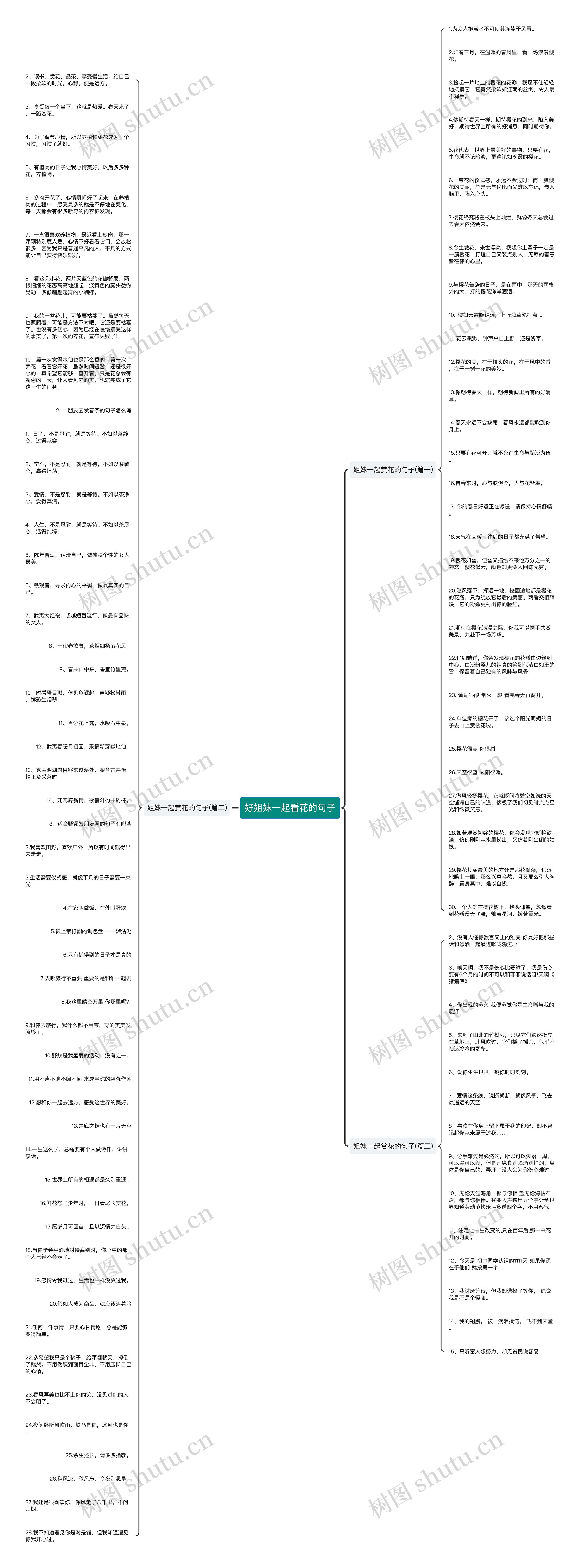 好姐妹一起看花的句子思维导图
