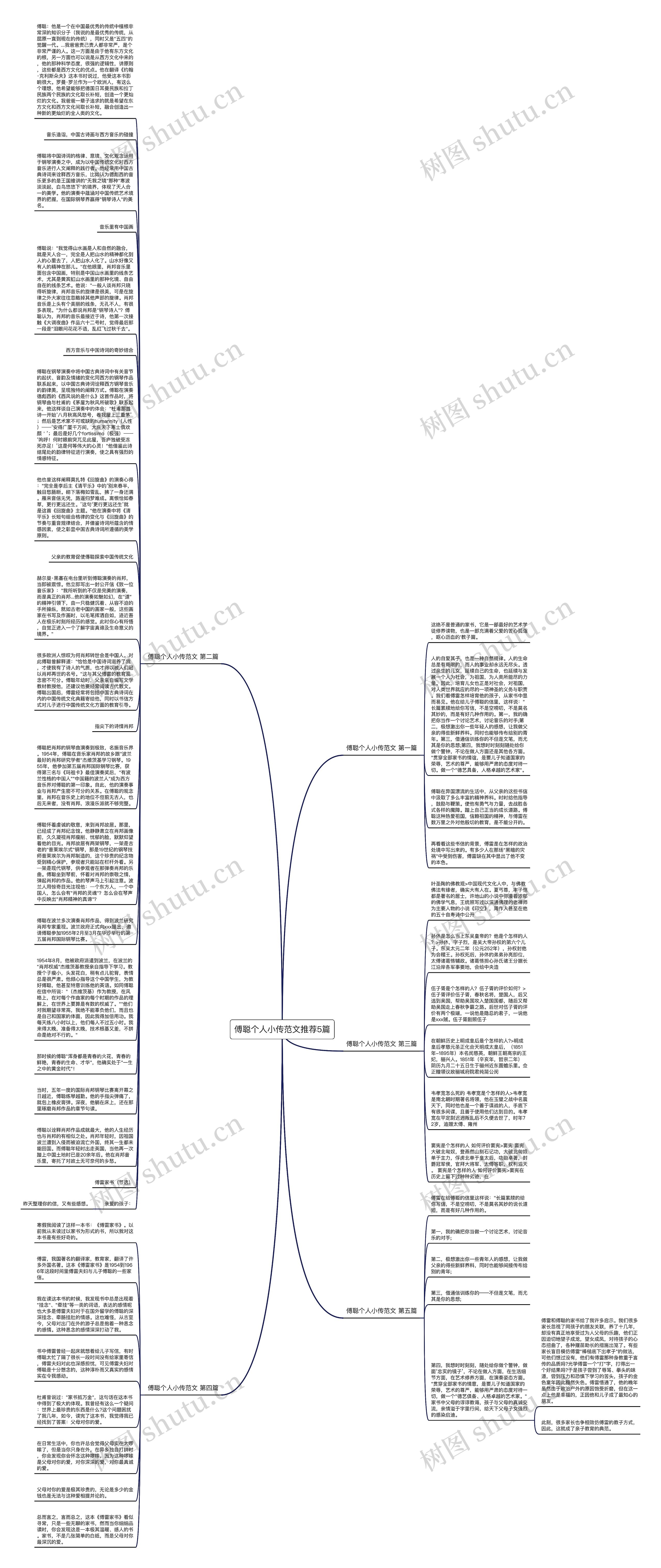 傅聪个人小传范文推荐5篇思维导图