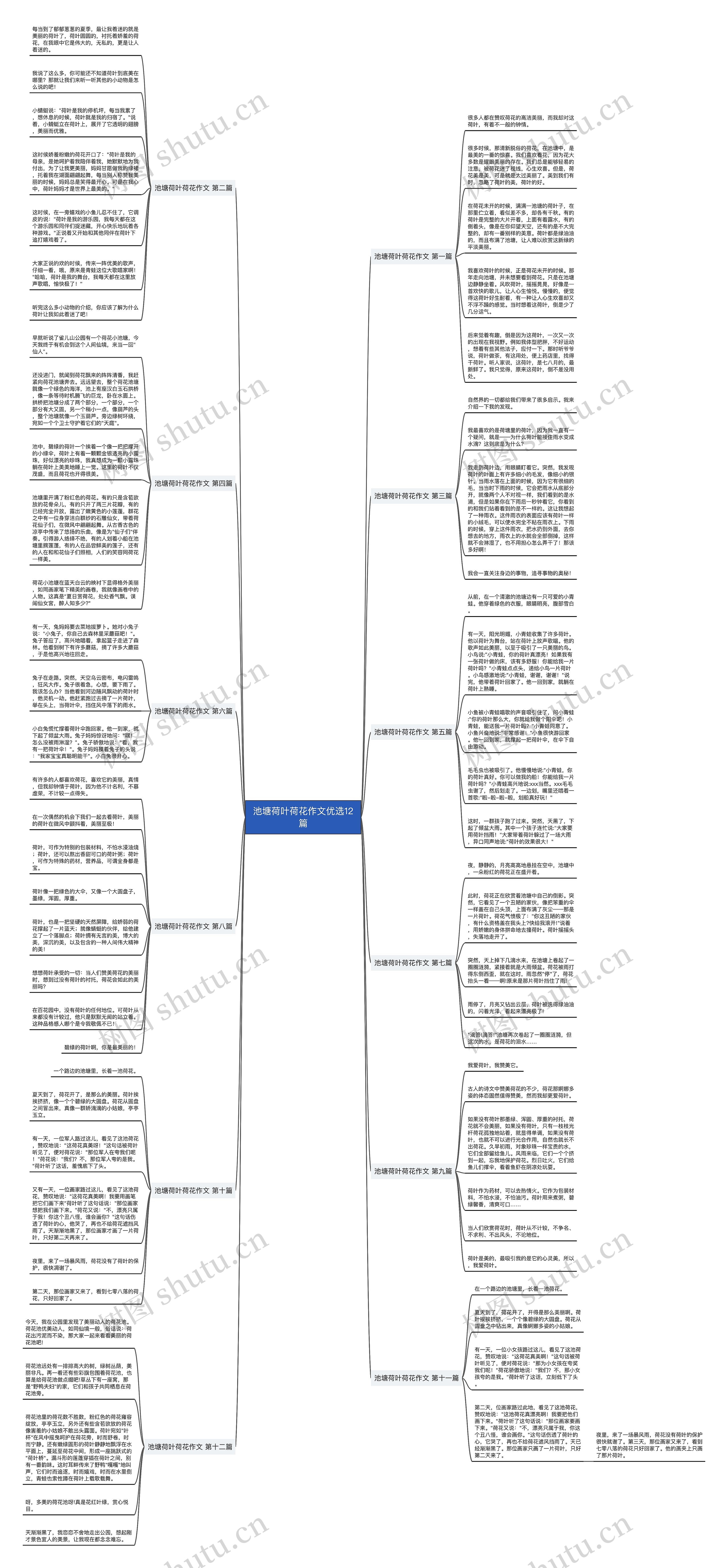 池塘荷叶荷花作文优选12篇思维导图