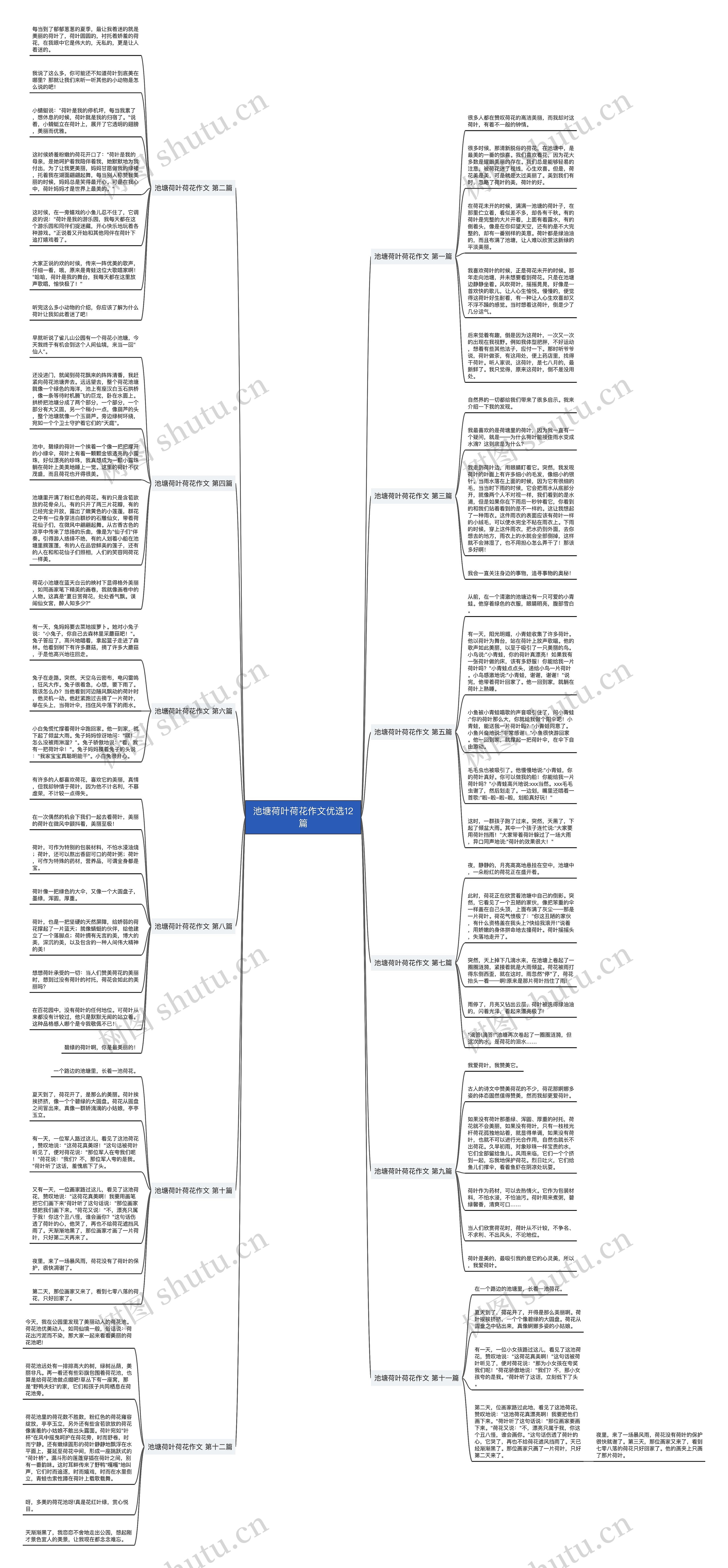 池塘荷叶荷花作文优选12篇 池塘荷叶荷花作文优选12篇